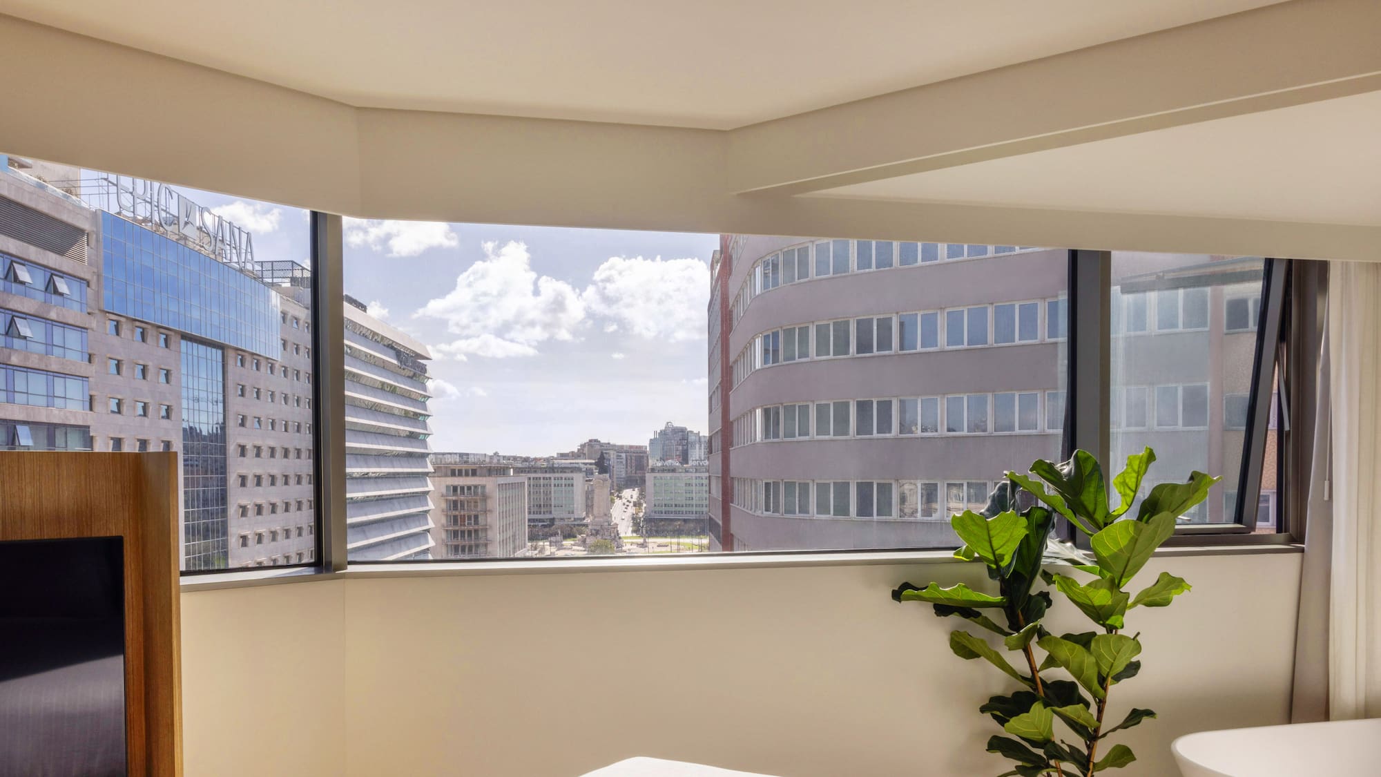 a room with a large window and a plant