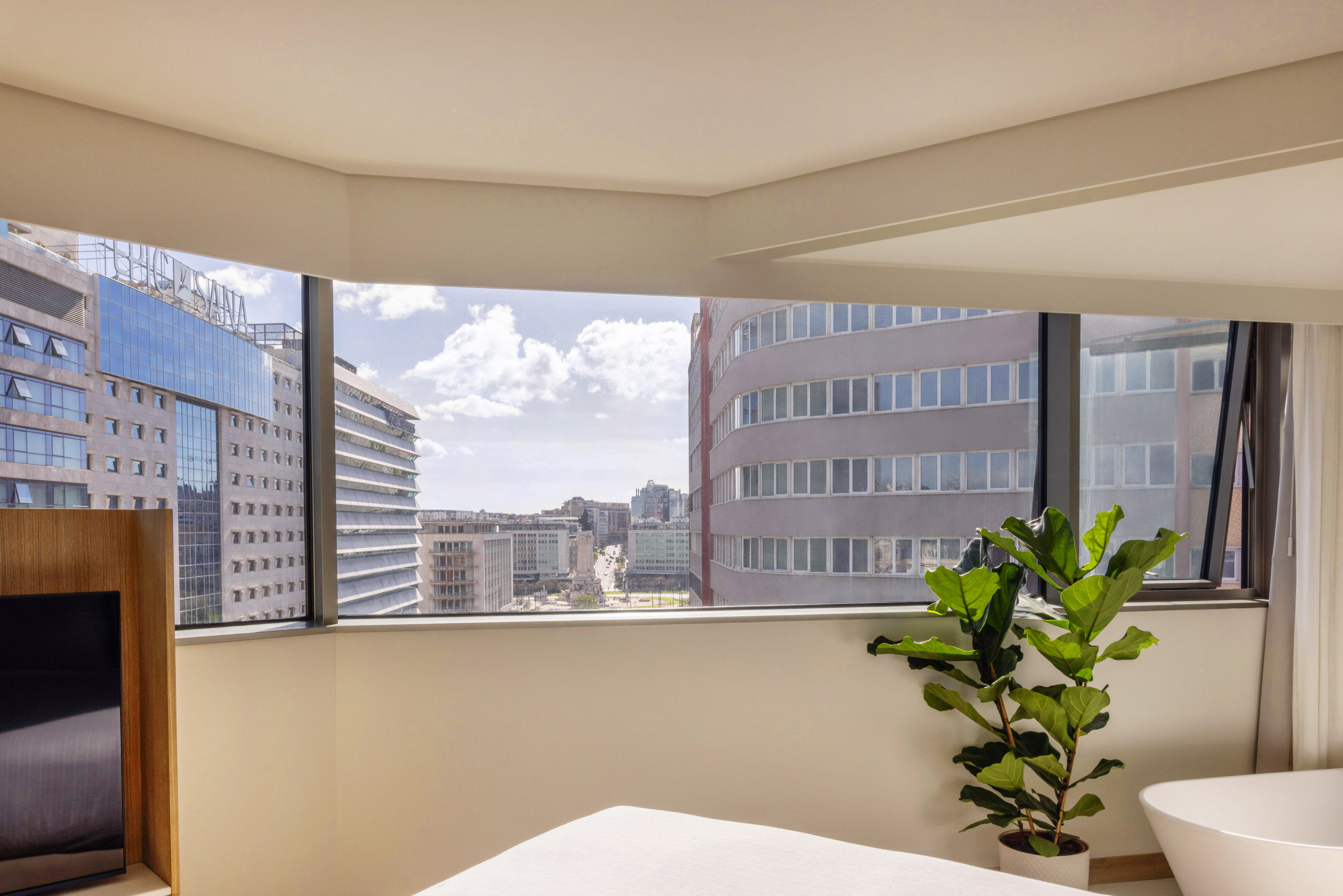 Panoramic city view from modern hotel room with large windows and green plant.