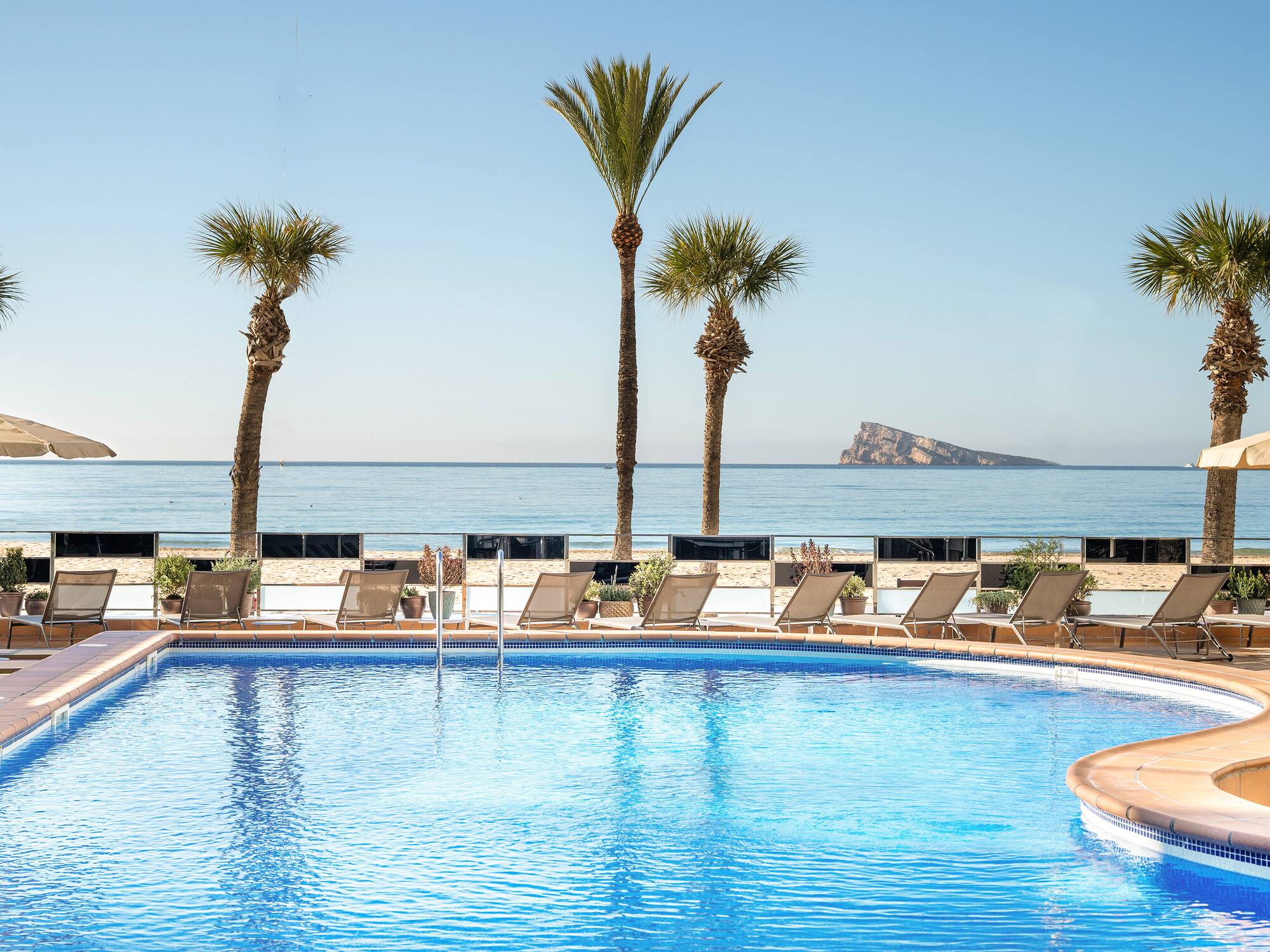 a pool with palm trees and a beach in the background
