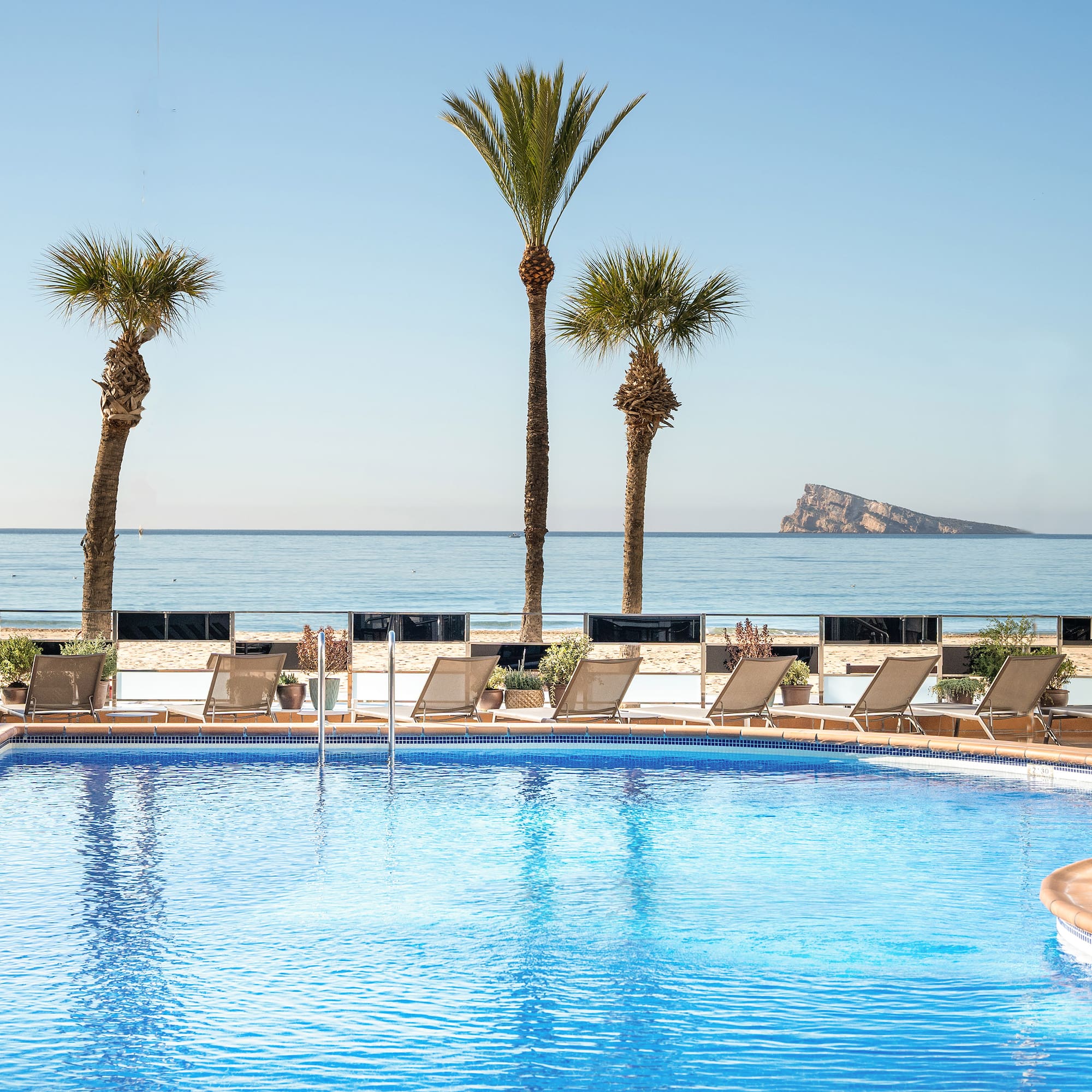 a pool with palm trees and a beach in the background