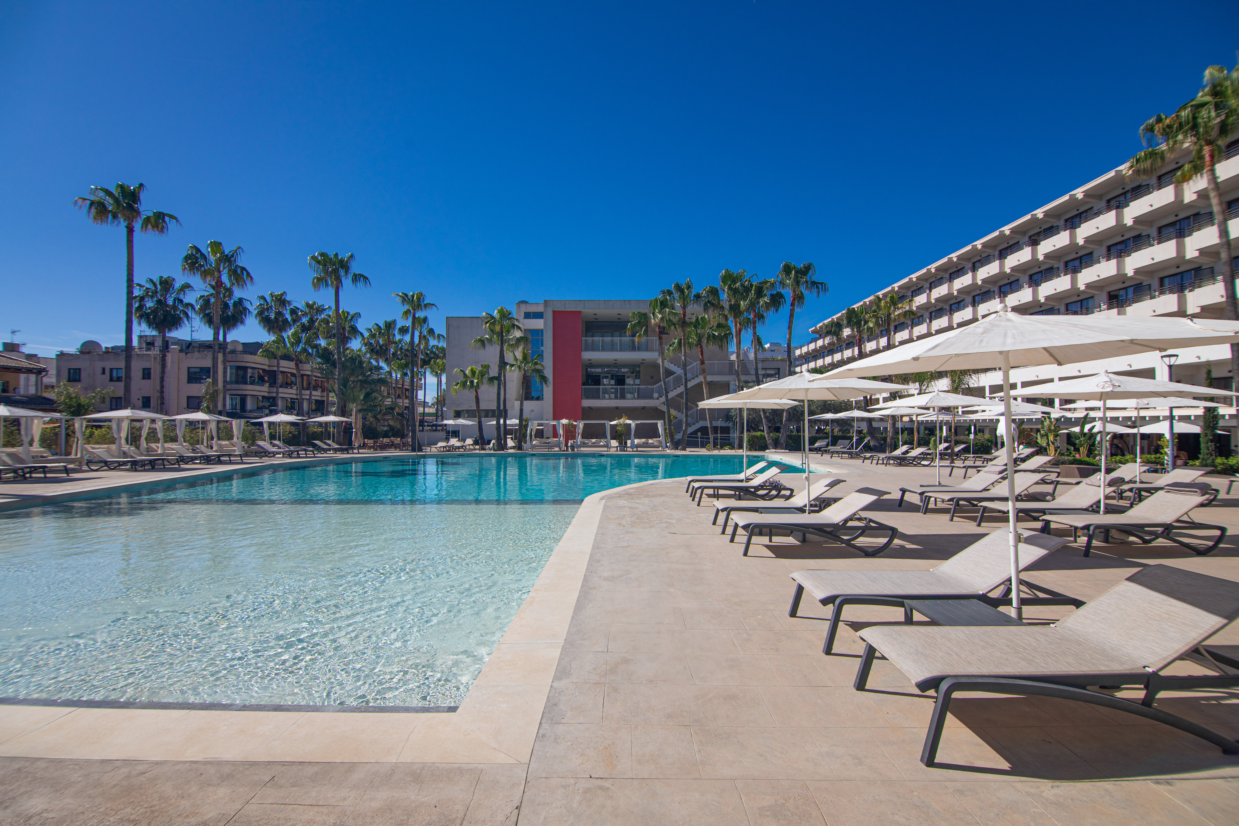 Sunny resort swimming pool with sunbeds, umbrellas, palm trees.