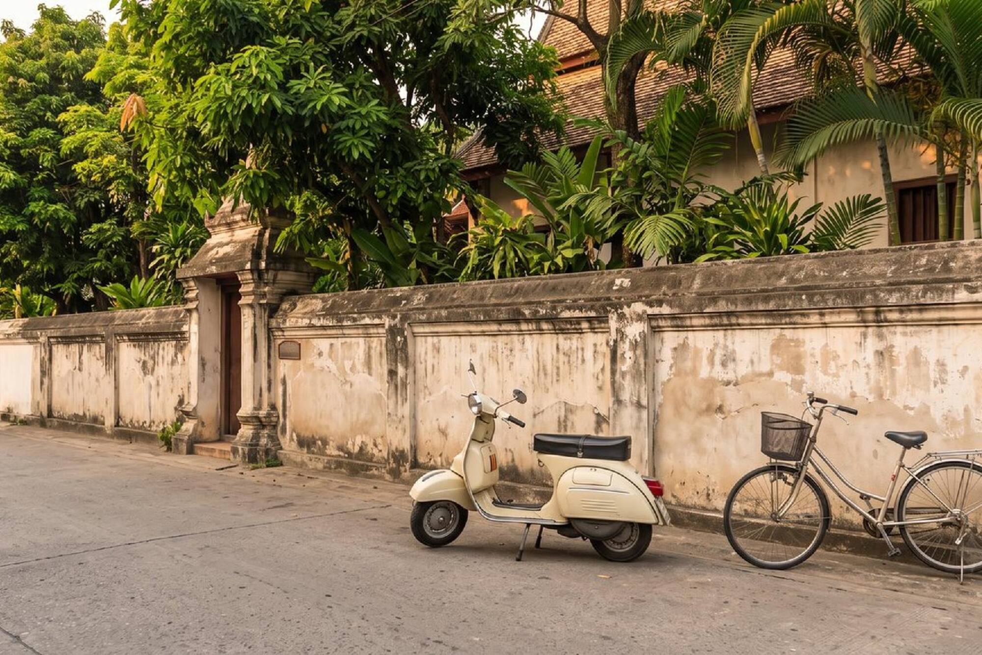Cream scooter, bicycle on street by old wall, tropical trees.