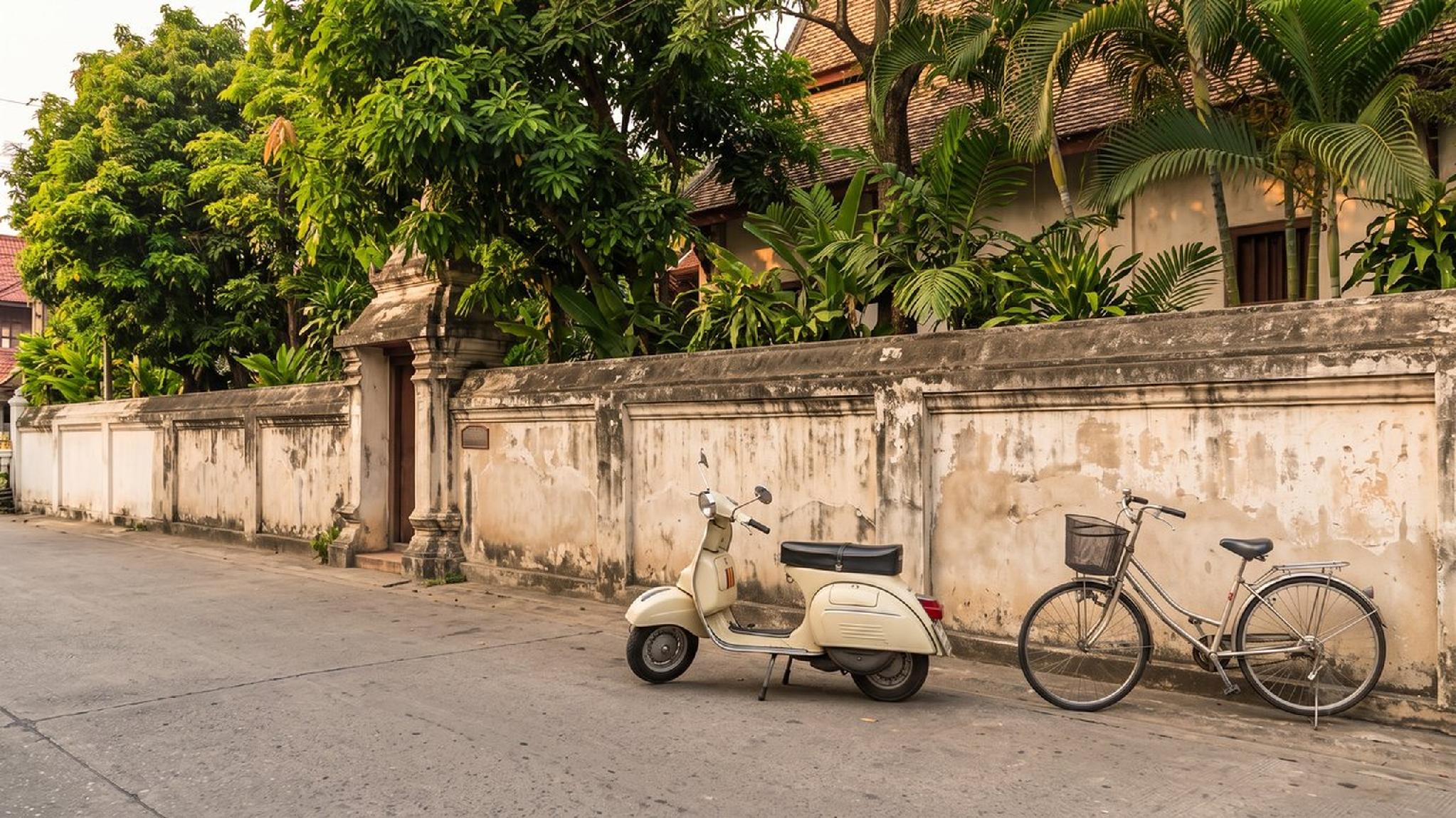 Cream scooter, bicycle on street by old wall, tropical trees.