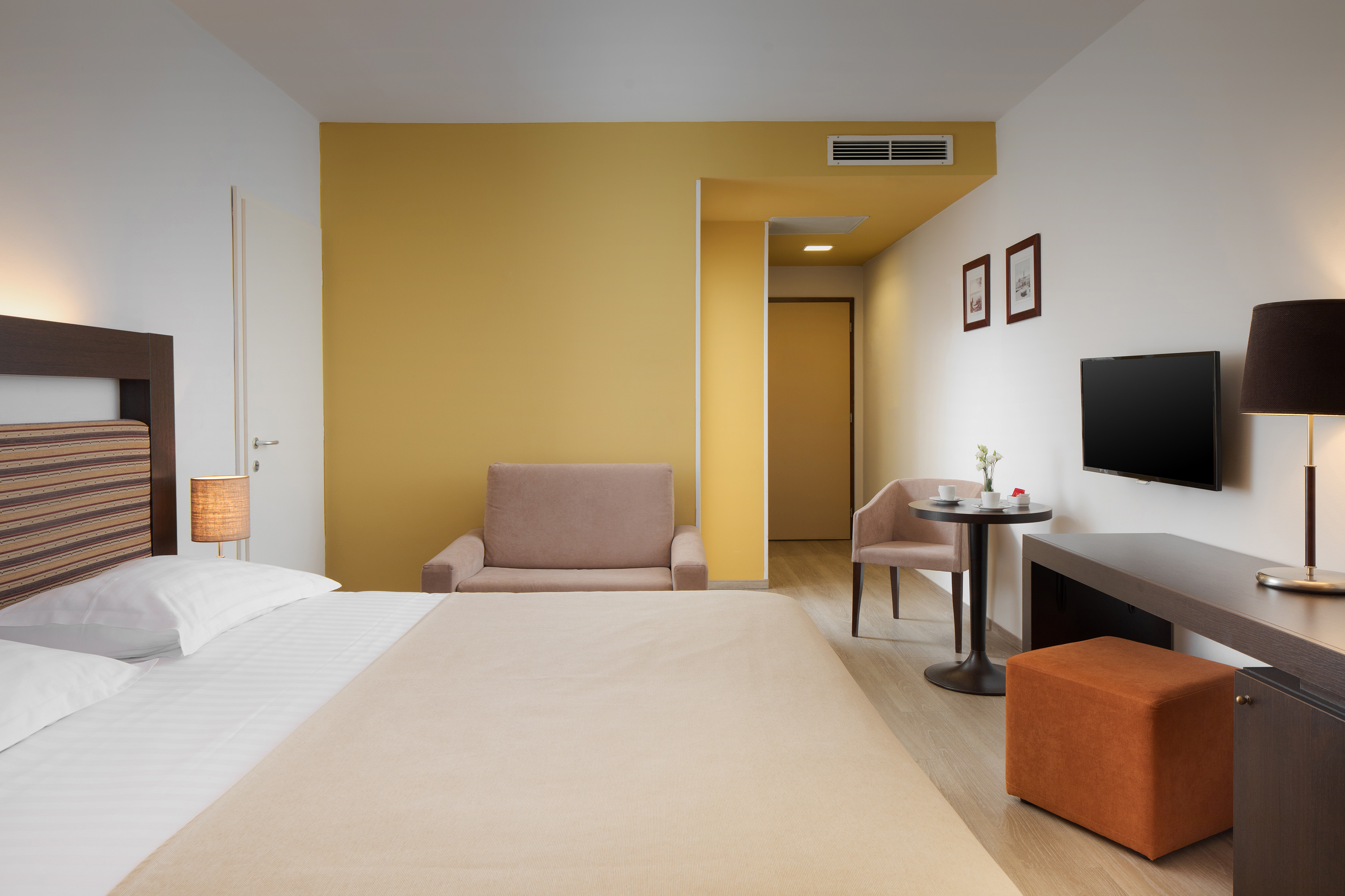 a room with a bed and a television