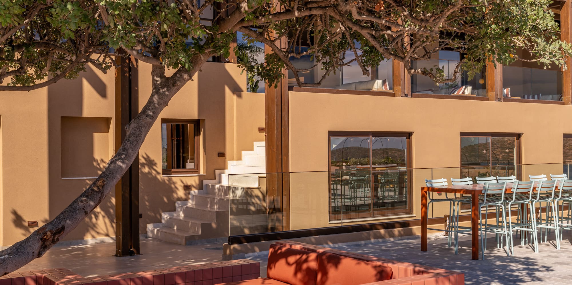 a tree outside a building