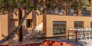 a tree outside a building