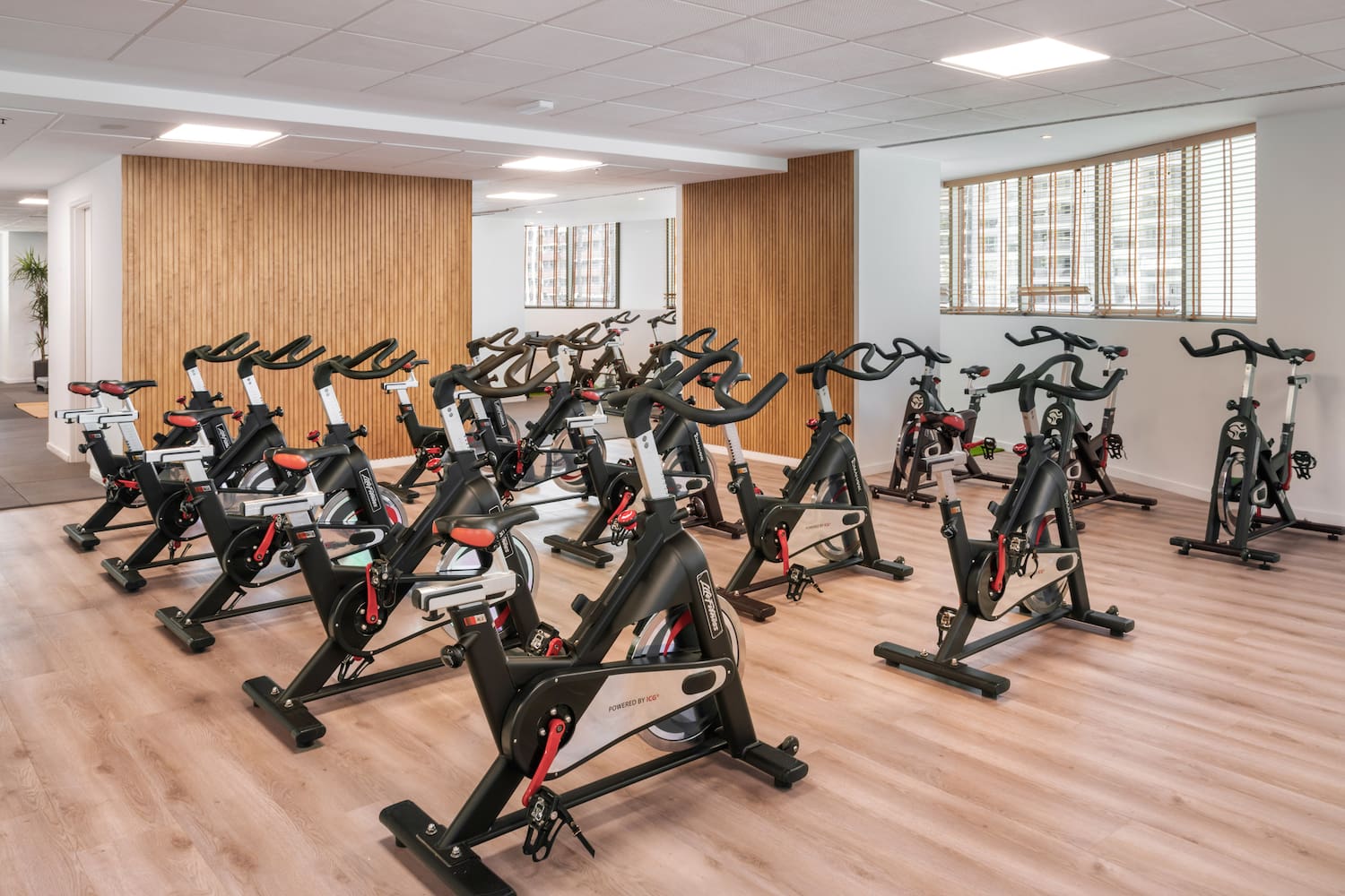 a room with exercise bikes