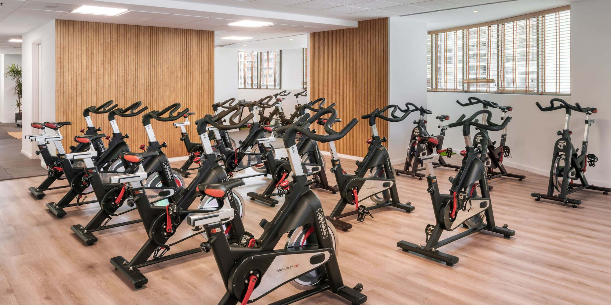 a room with exercise bikes