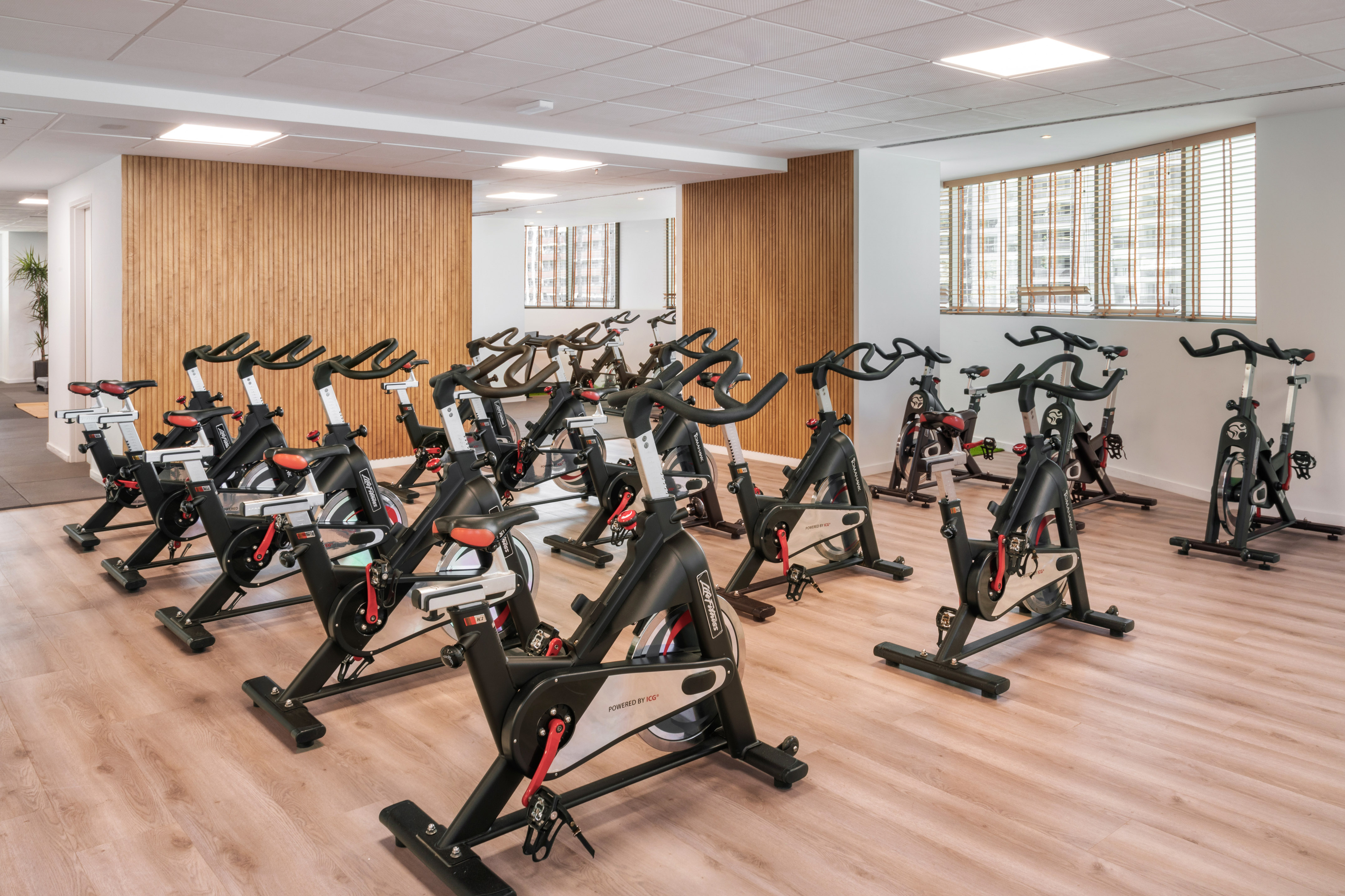 Modern spin studio with rows of indoor cycling bikes and wooden accents.