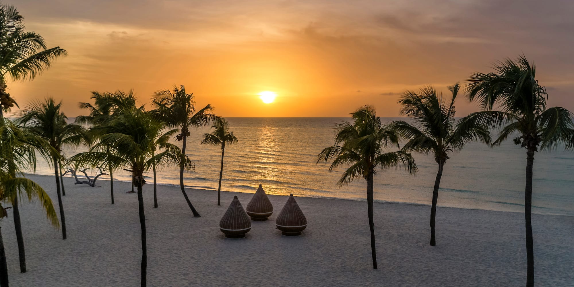 a beach with palm trees and a sunset