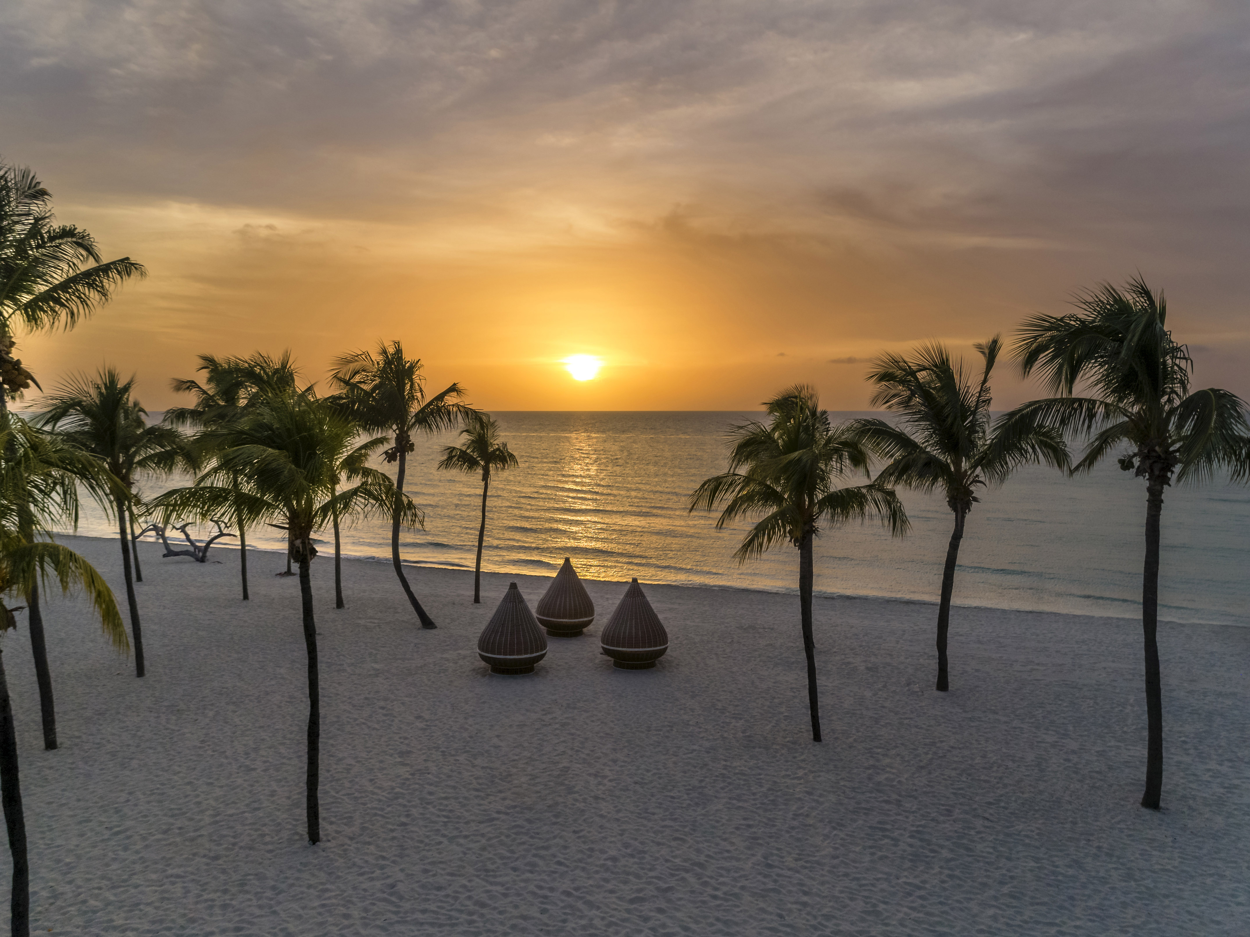 a beach with palm trees and a sunset