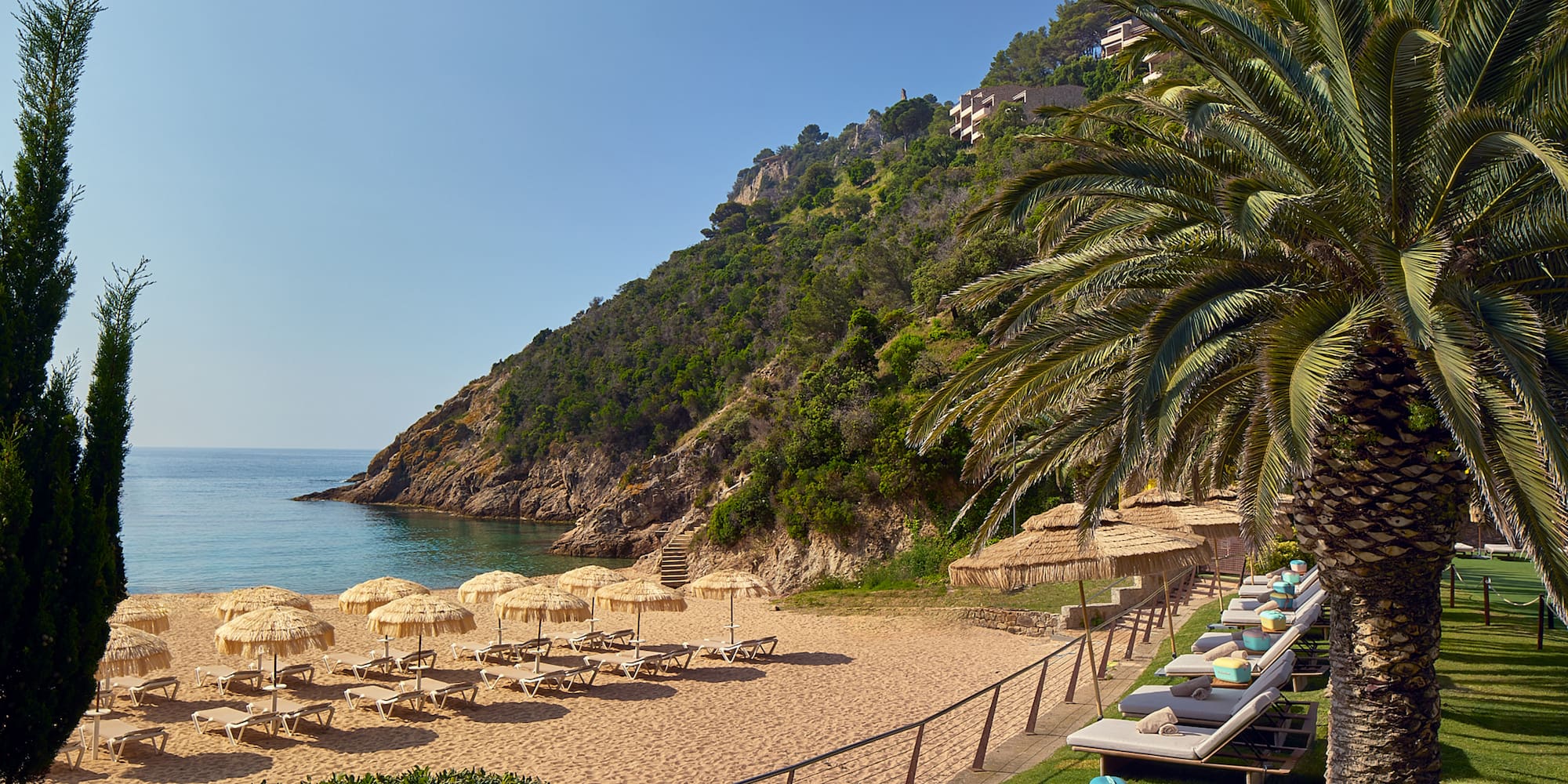 a beach with chairs and umbrellas and a palm tree