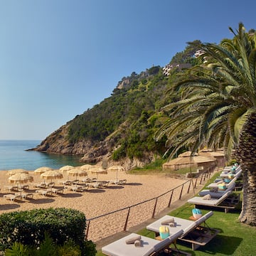 a beach with chairs and umbrellas and a palm tree