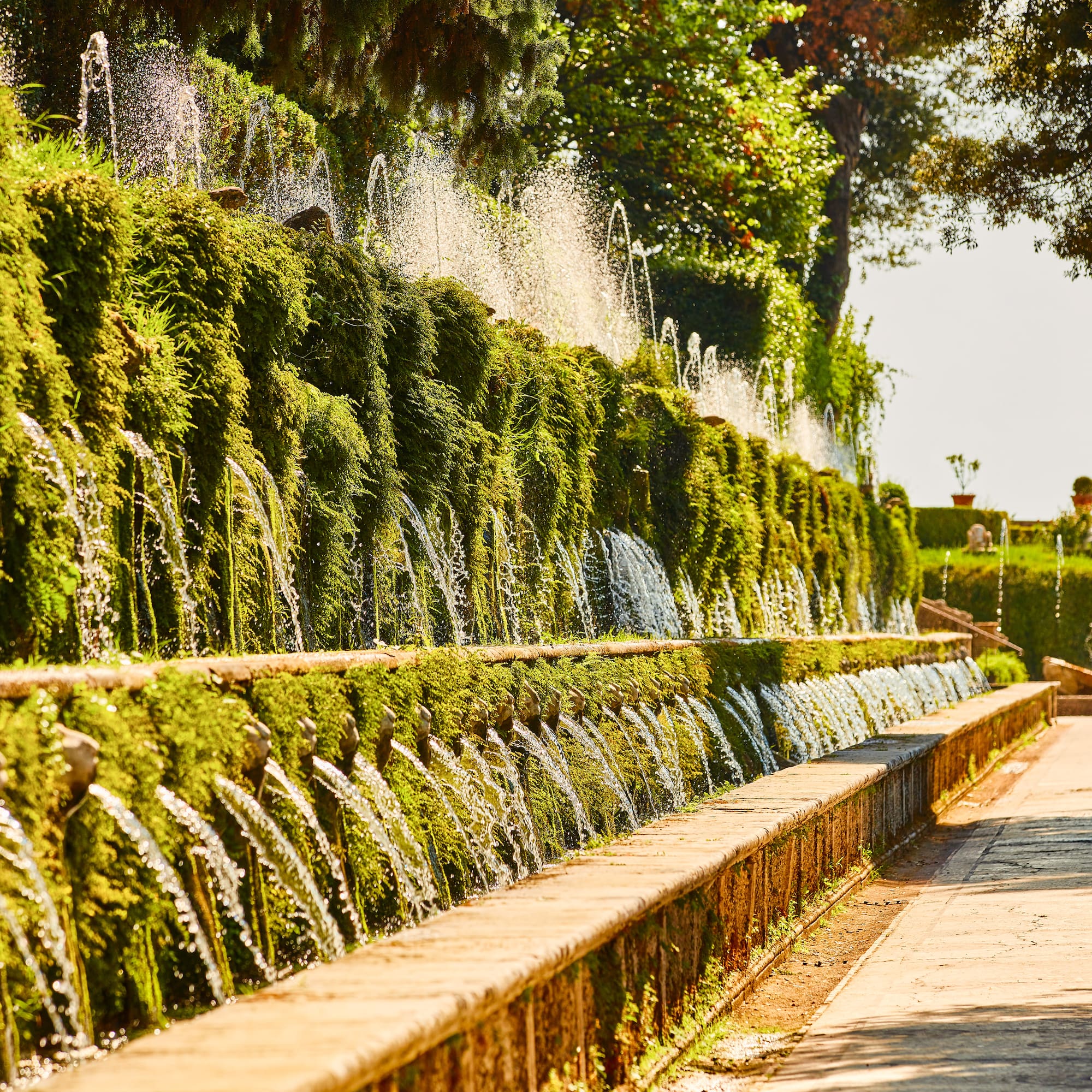 a water fountain in a park