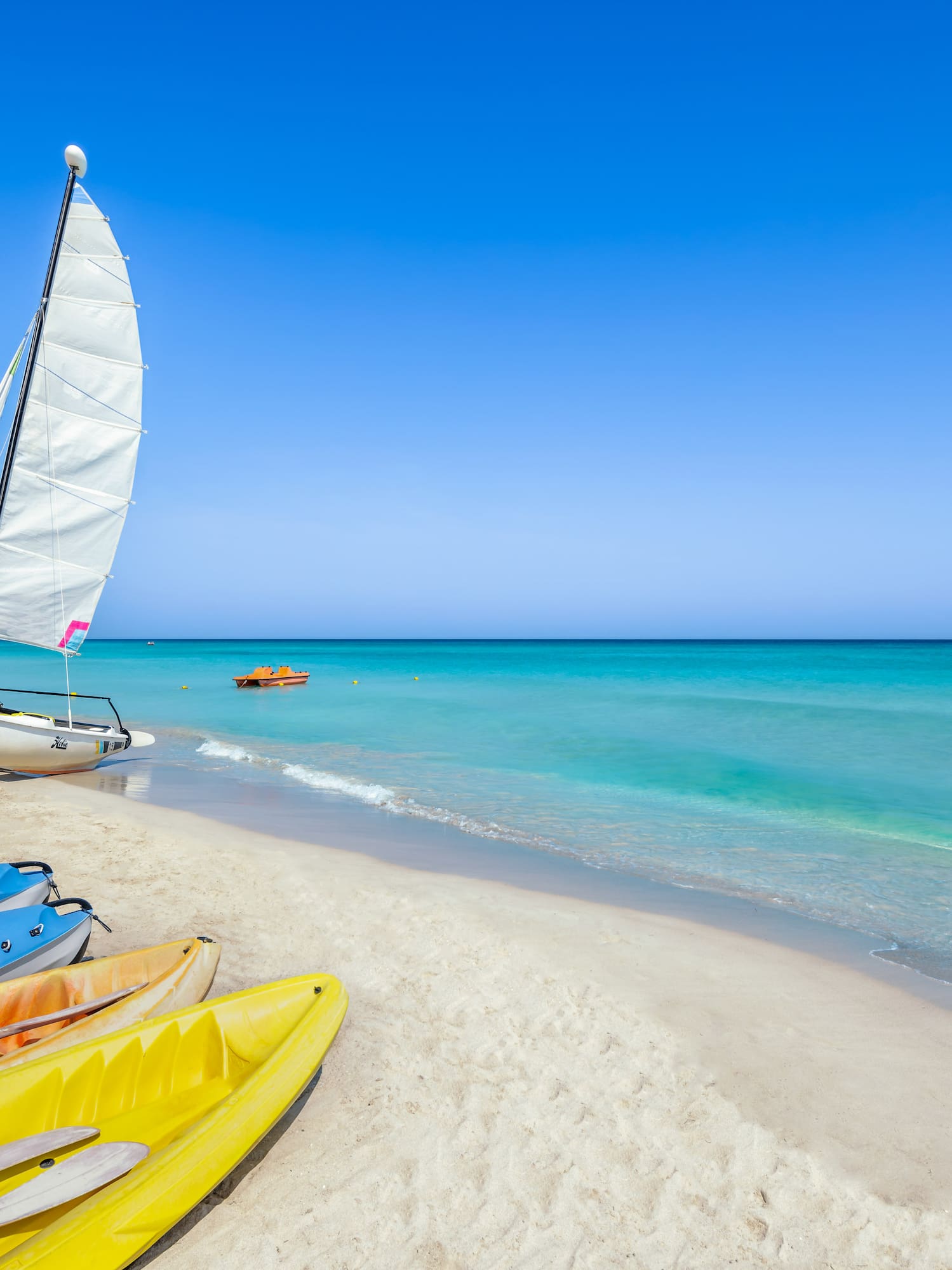 a sailboat and kayaks on a beach