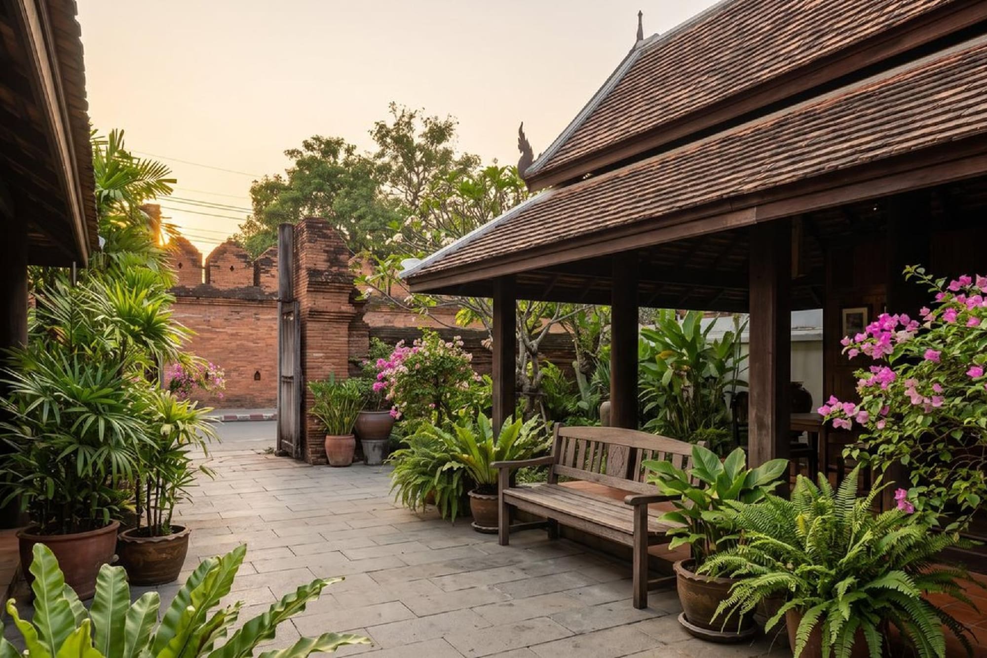 Thai house garden patio, wooden bench, lush plants, ancient brick wall.
