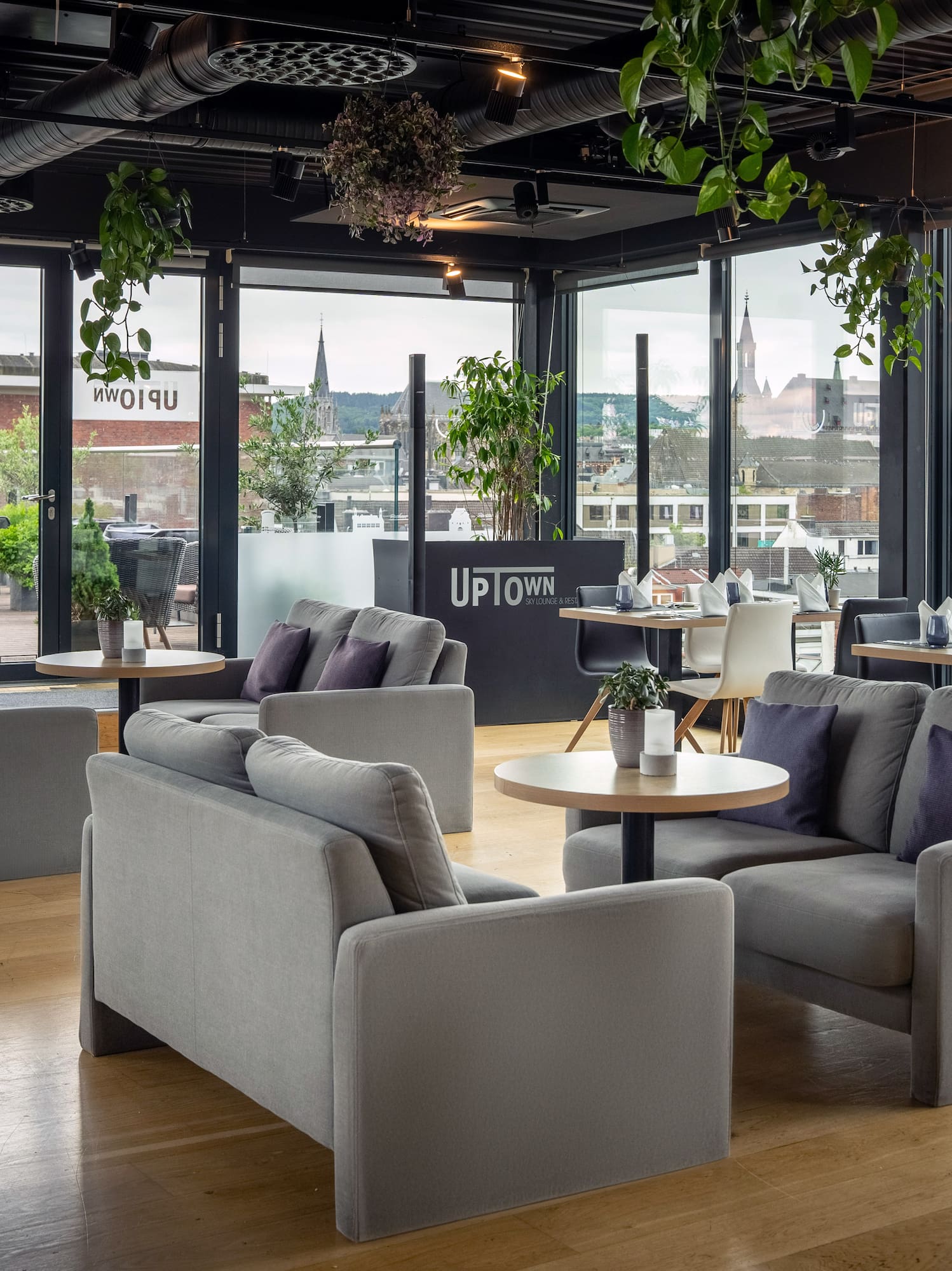 a room with couches and tables and plants