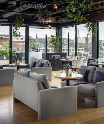 a room with couches and tables and plants