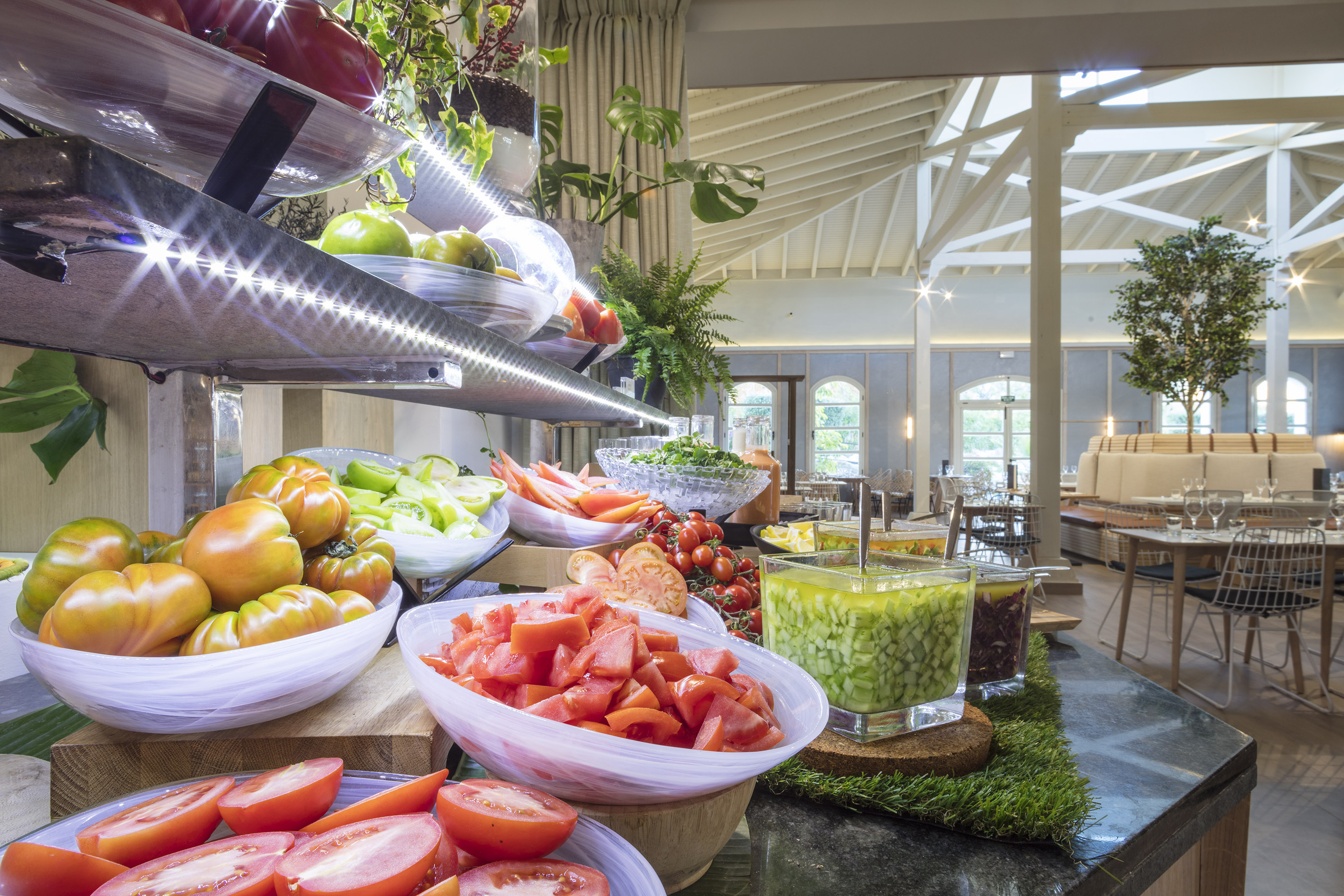 Healthy salad bar buffet with fresh tomatoes, cucumbers, and greens.