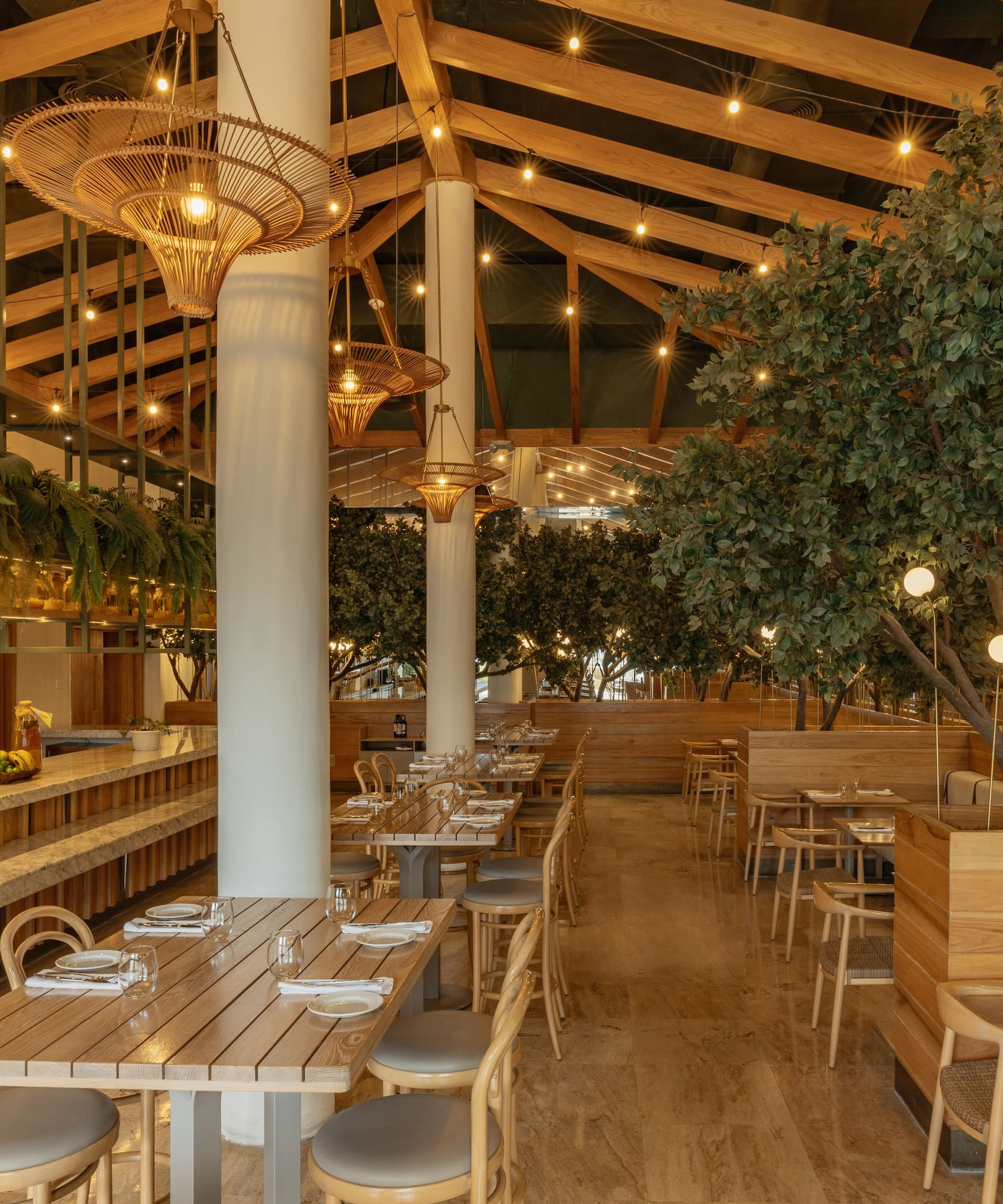Restaurant interior: wooden tables, rattan lights, lush indoor trees.