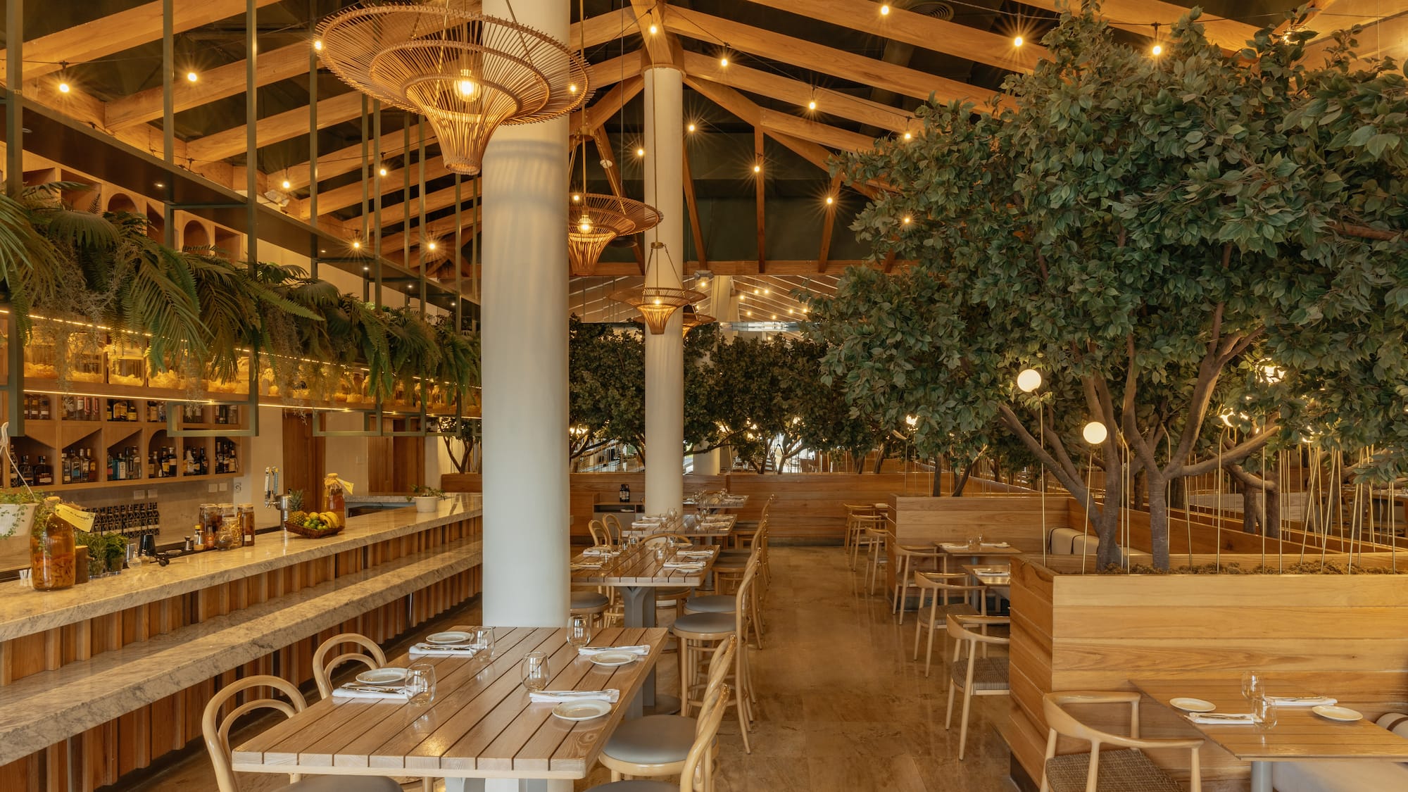 Modern restaurant interior: wooden tables, lush plants, rattan lighting, bar.