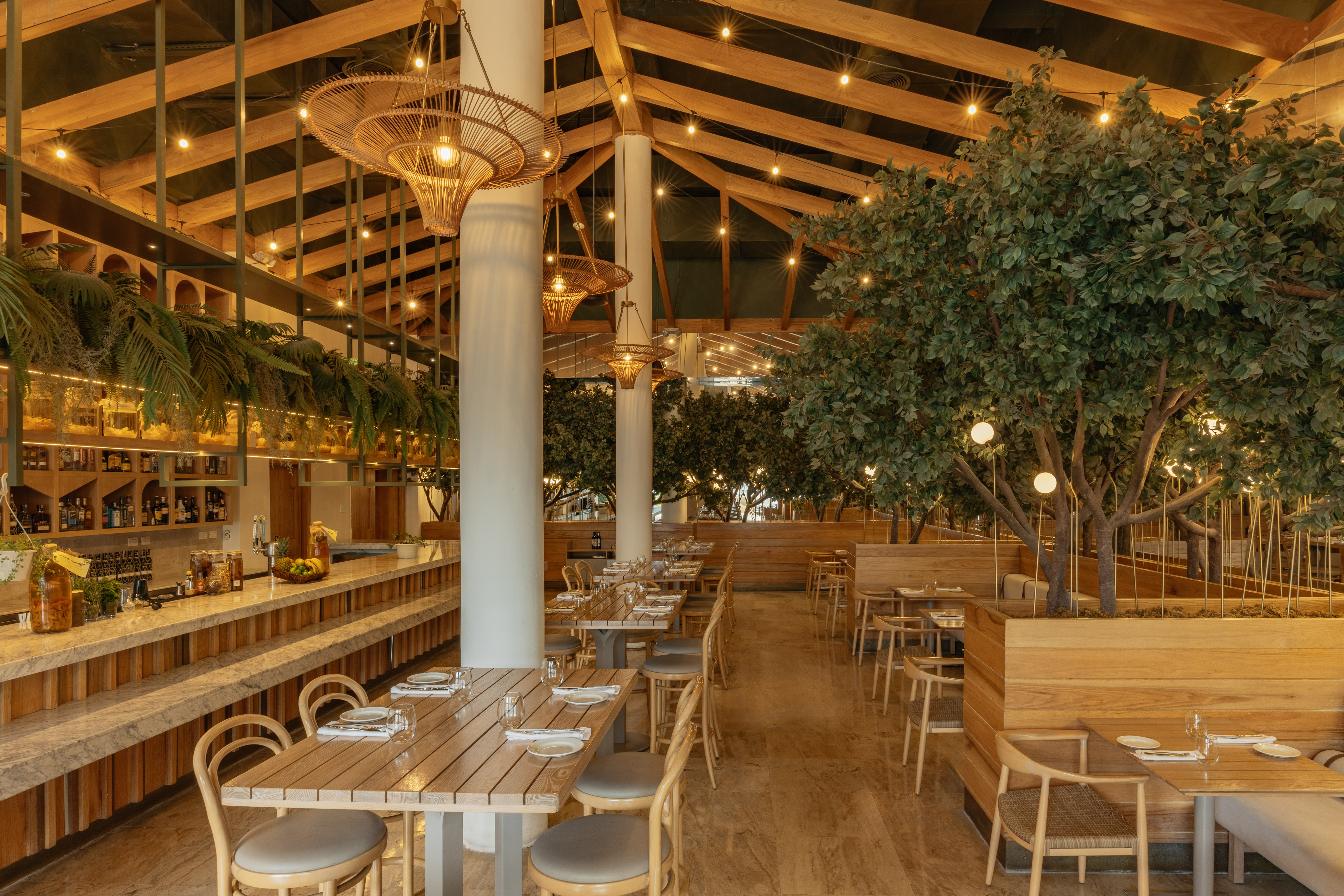 Restaurant interior: wooden tables, rattan lights, lush indoor trees.