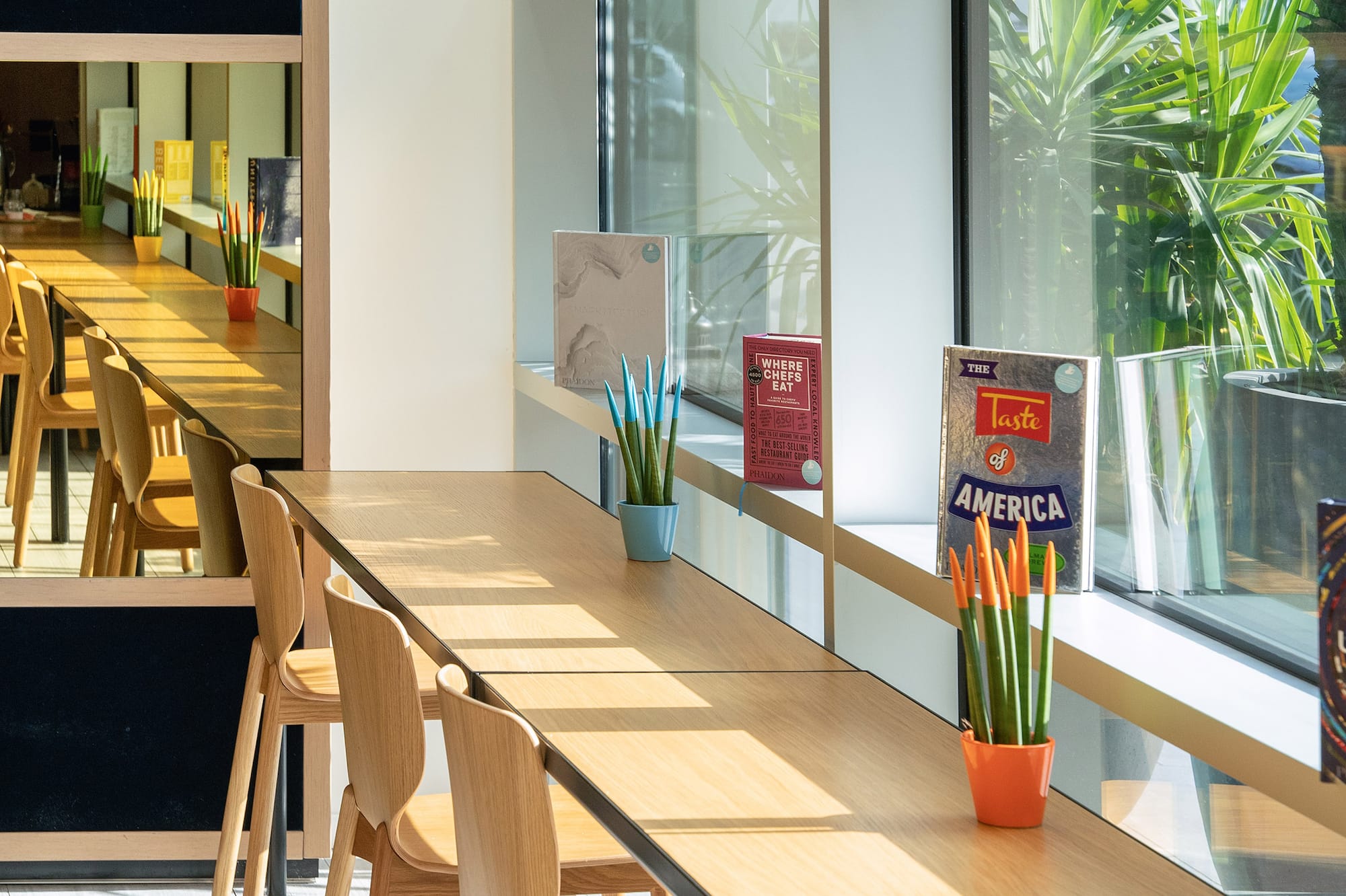 Bright cafe interior with long wooden tables, chairs, plants, and window seating.