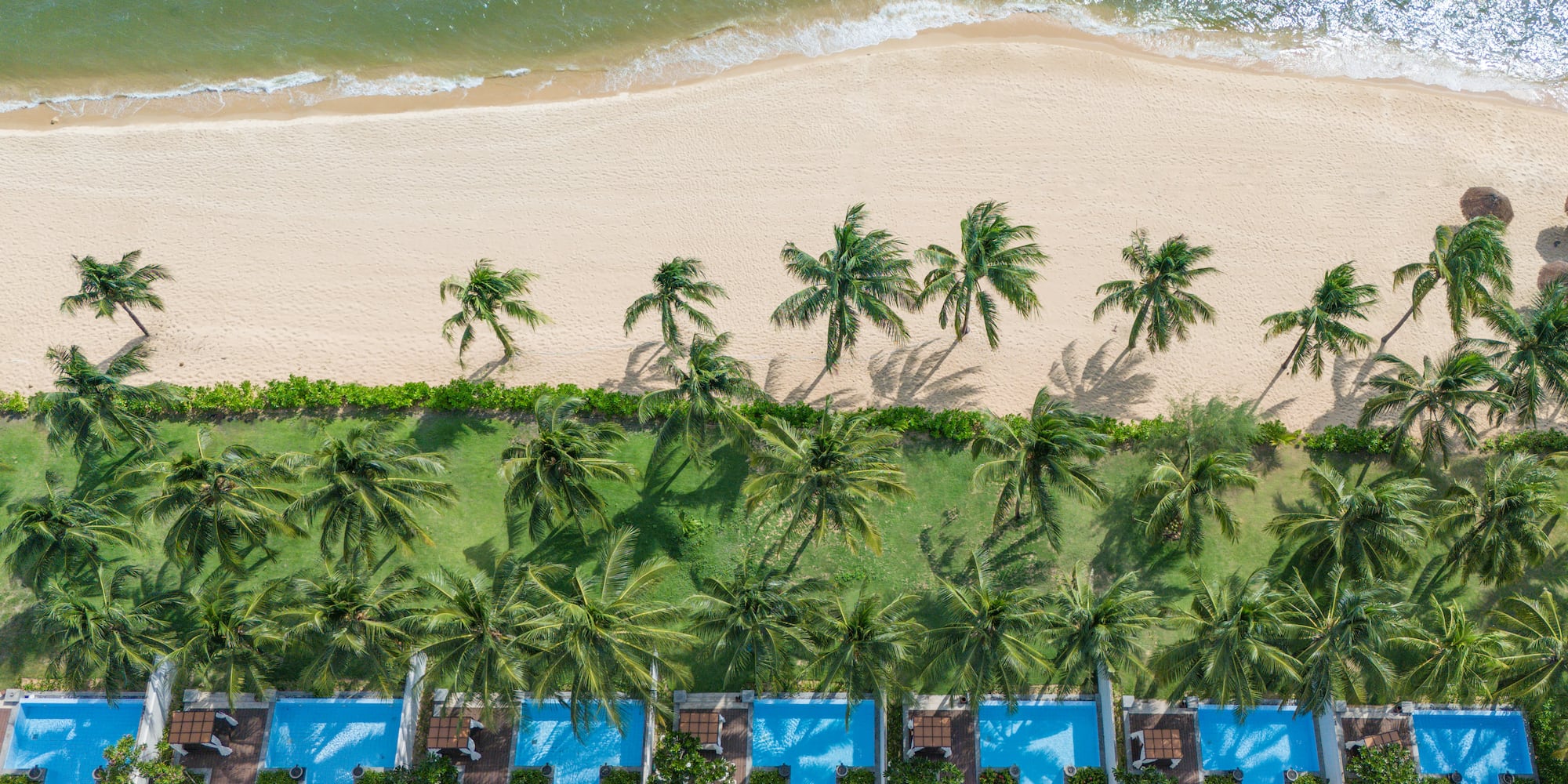 a beach with palm trees and a row of houses