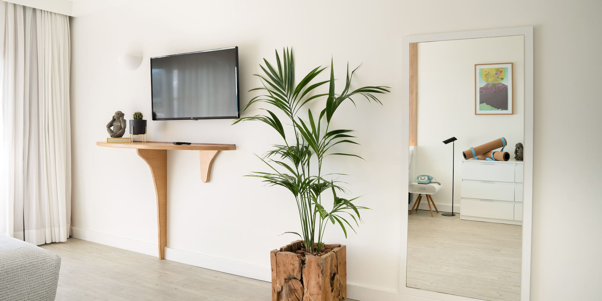 a room with a television and a plant in a pot
