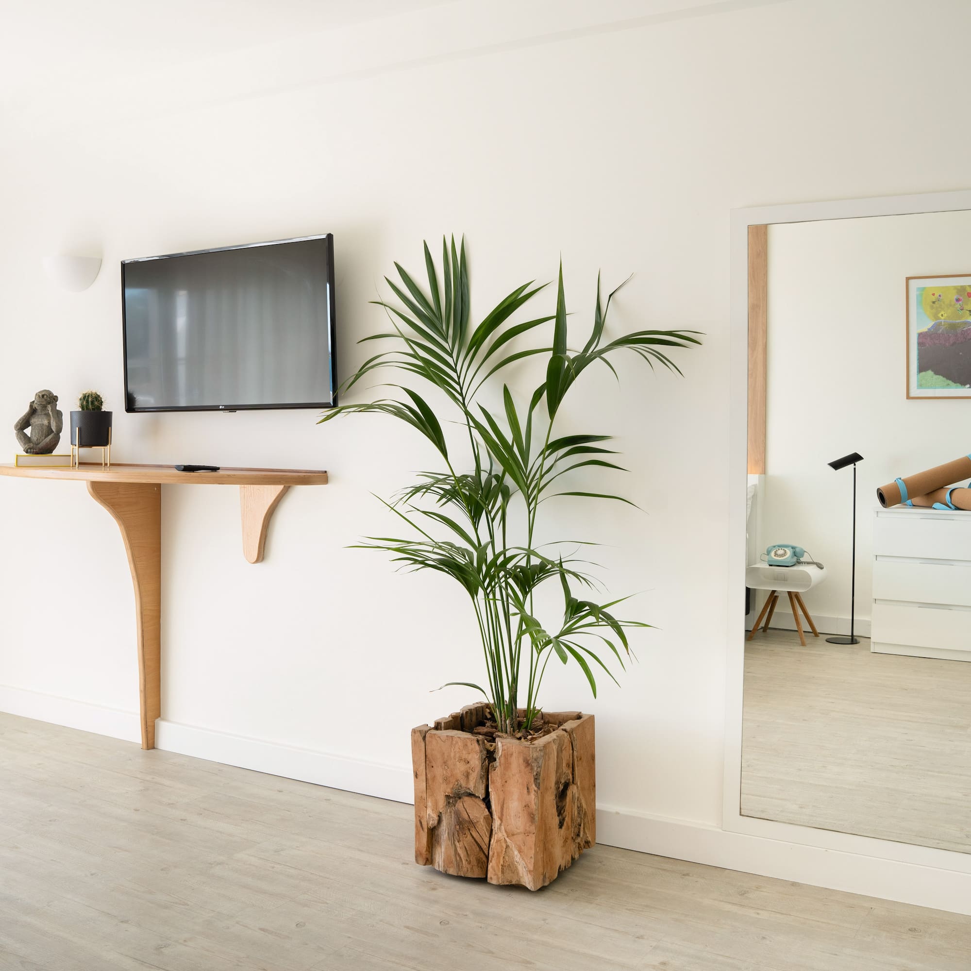 a room with a television and a plant in a pot