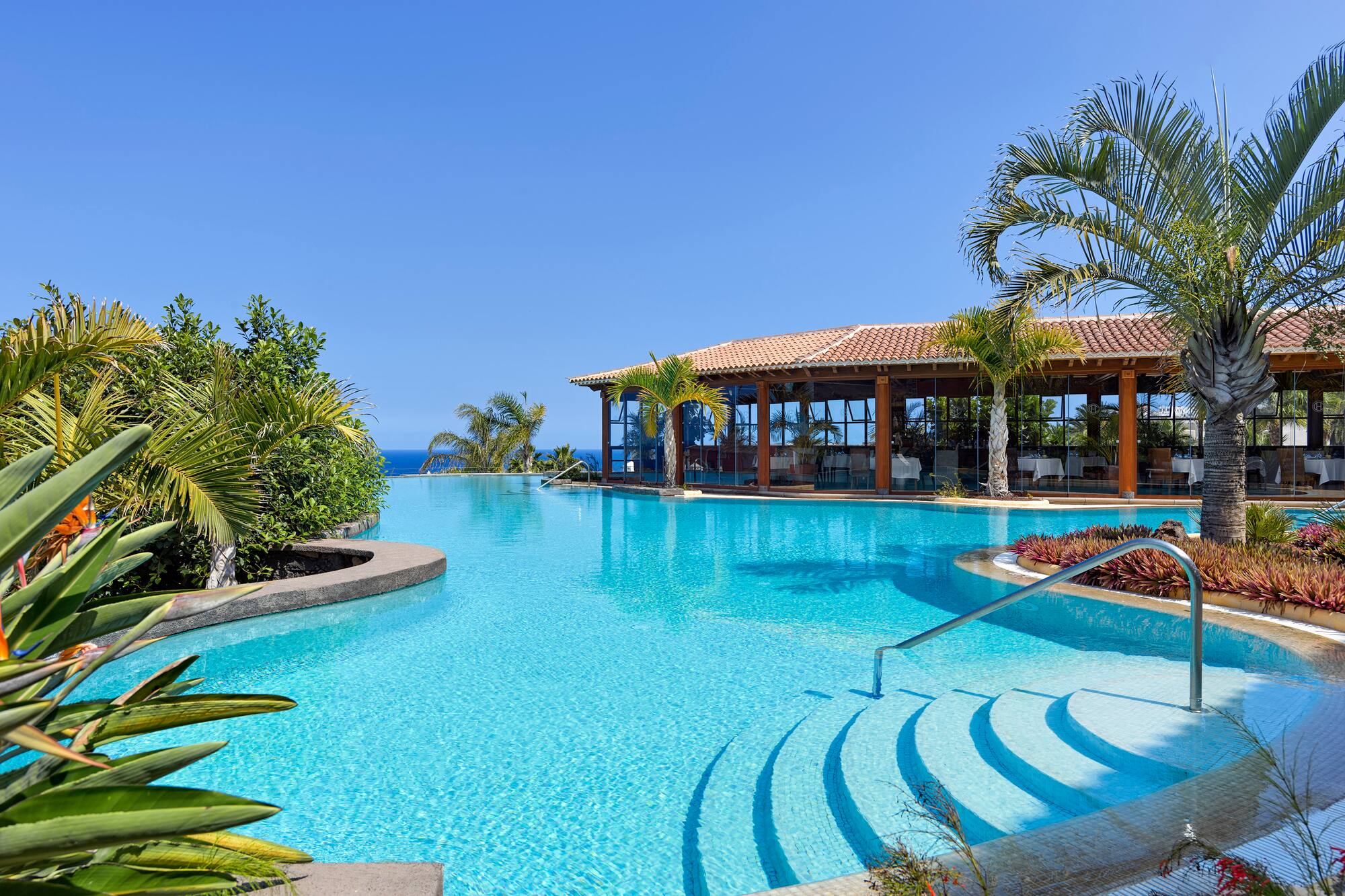 Tropical resort pool with palm trees, steps, and a sunny building.