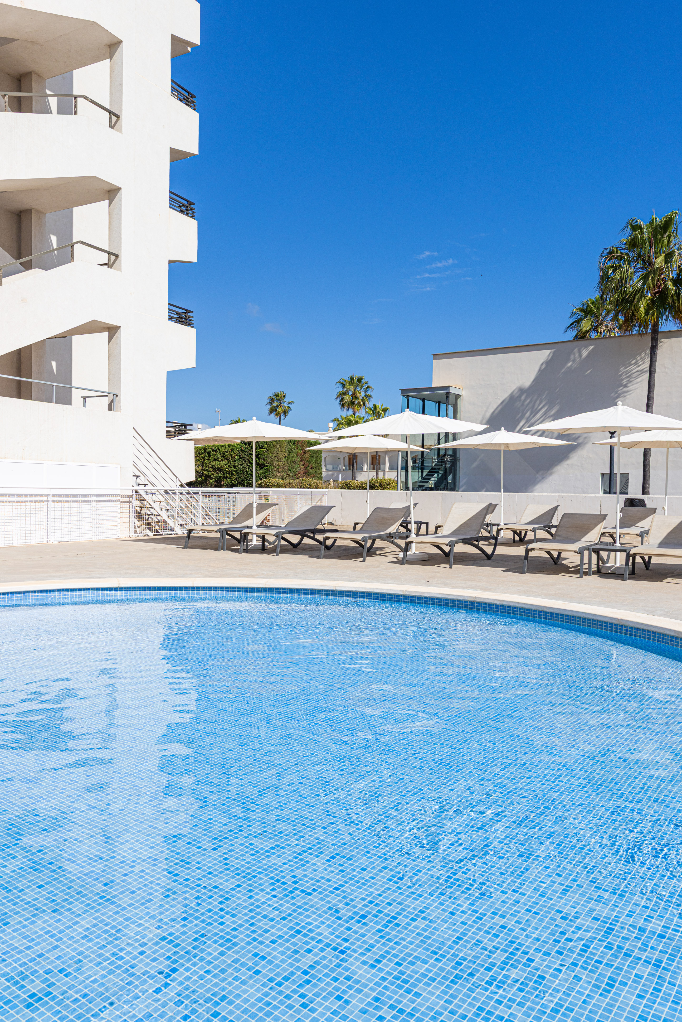 Sunny hotel swimming pool with loungers, umbrellas, and palm trees.