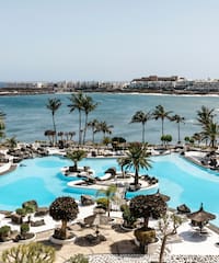 a pool with palm trees and a body of water