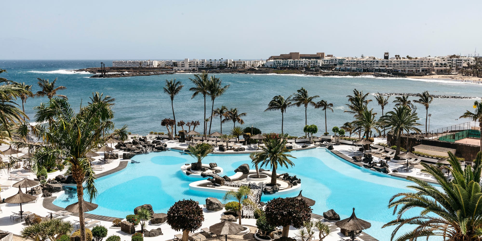 a pool with palm trees and a body of water