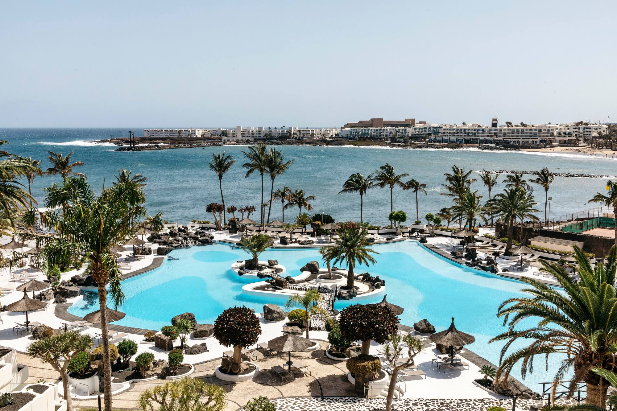 a pool with palm trees and a body of water