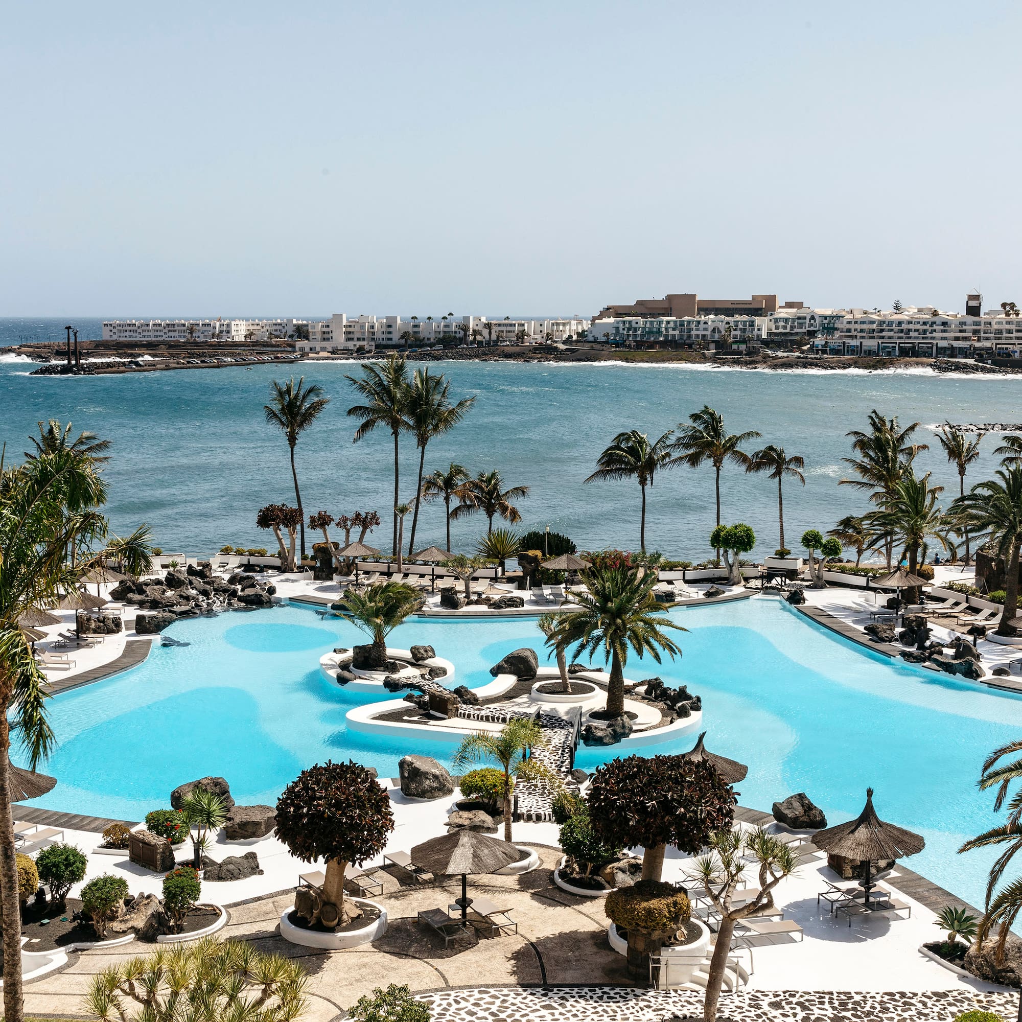 a pool with palm trees and a body of water