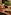 Gourmet buffet table with charcuterie, fresh fruits, cookies, and snacks.