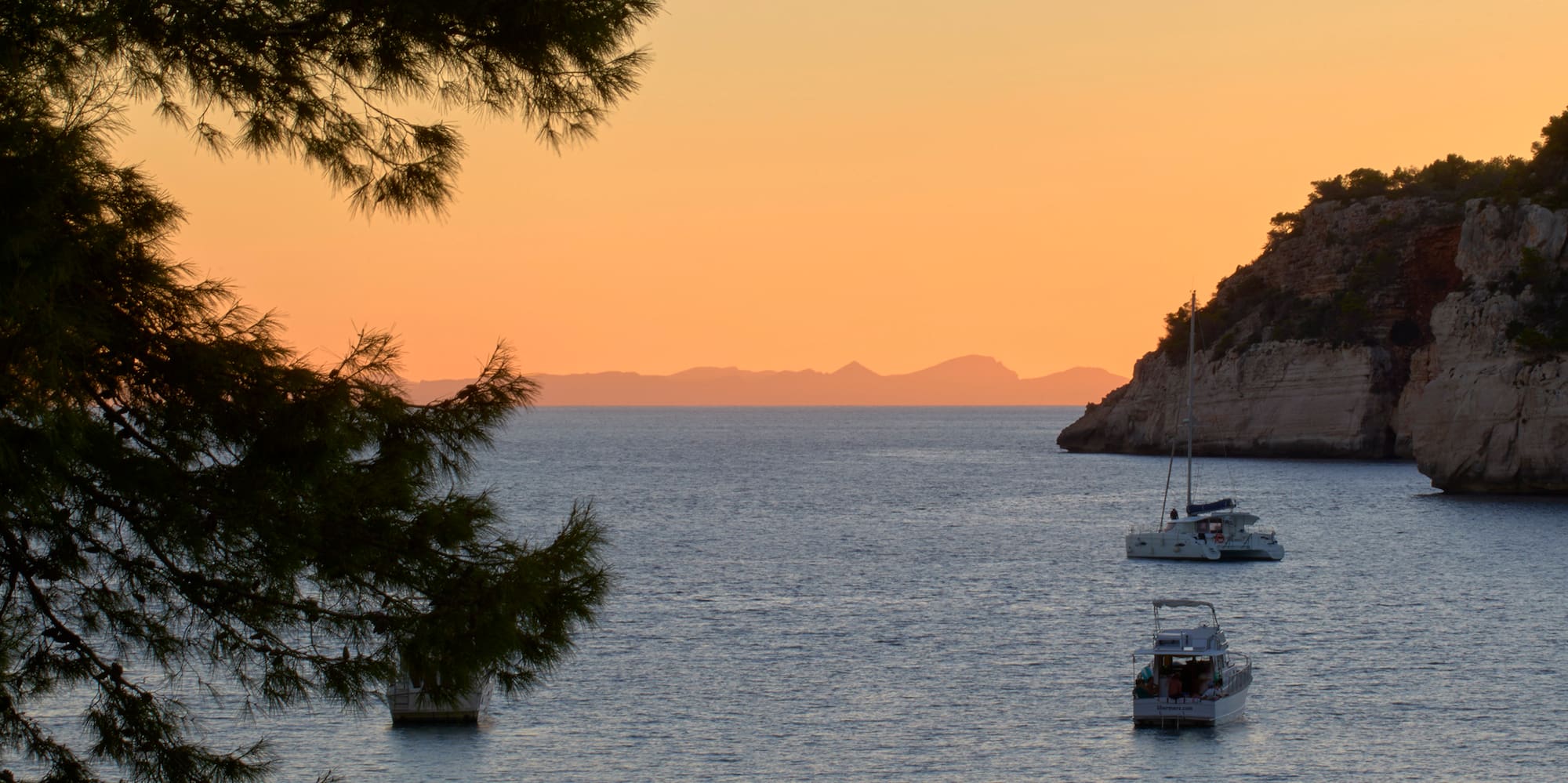 boats in the water with a tree and a cliff in the background