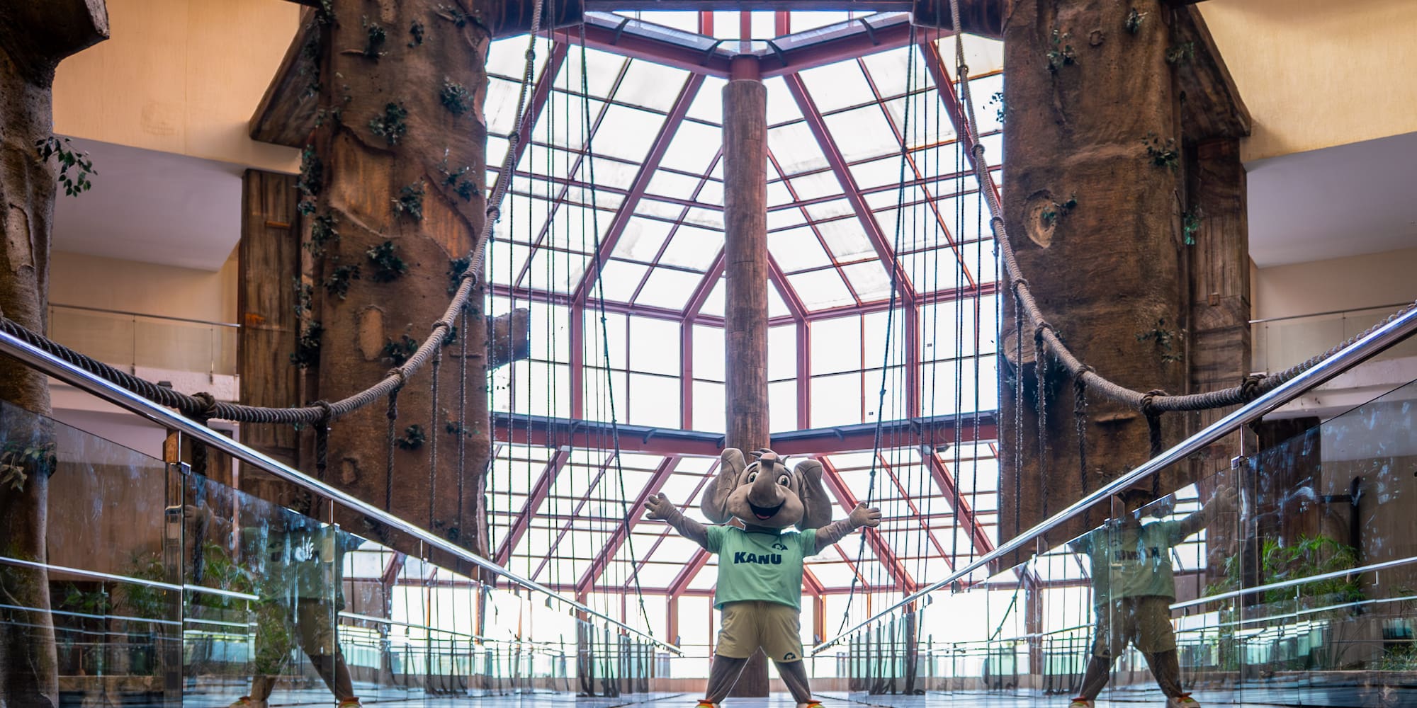 a person in an elephant garment standing in a glass room with trees