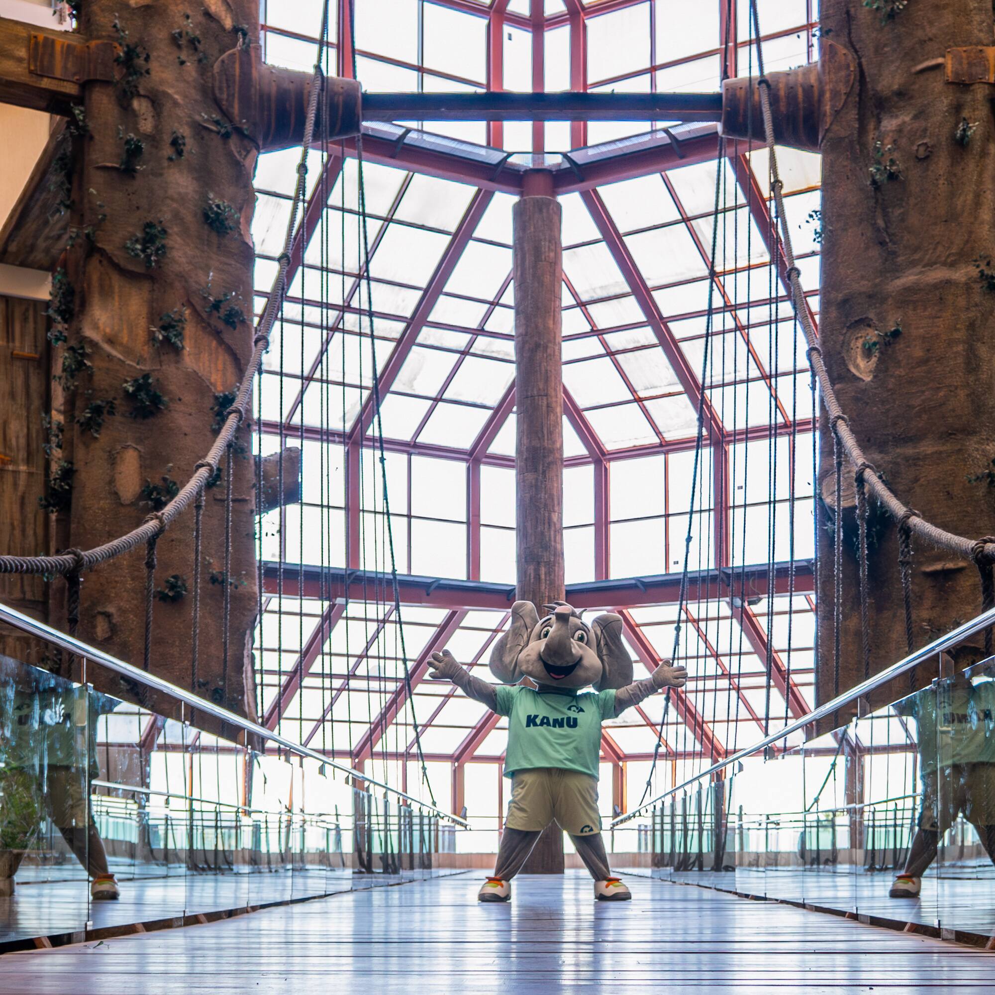 a person in an elephant garment standing in a glass room with trees