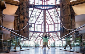 a person in an elephant garment standing in a glass room with trees