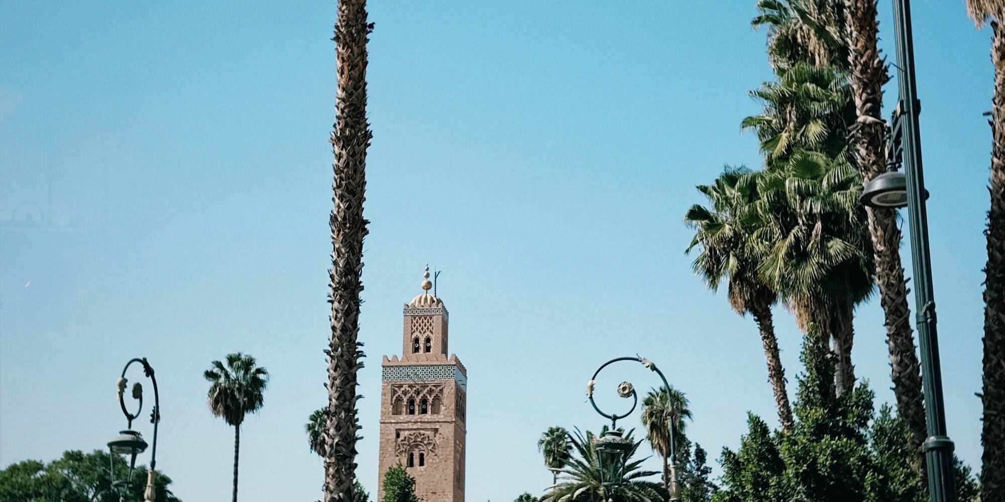 a tall palm trees and a tower