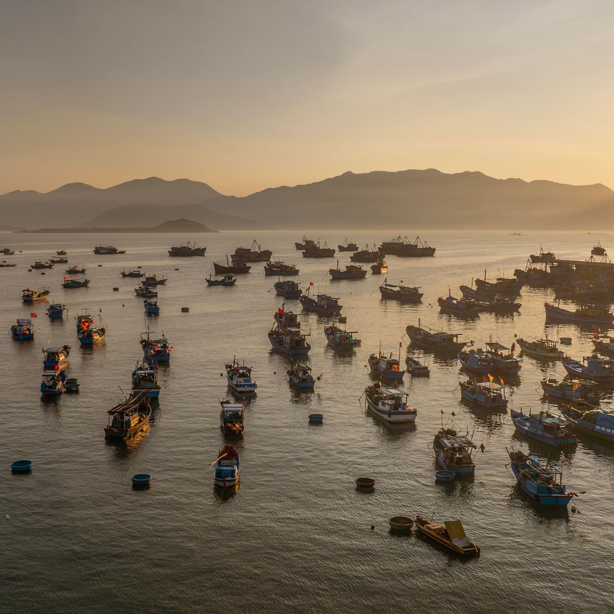 a large group of boats in the water