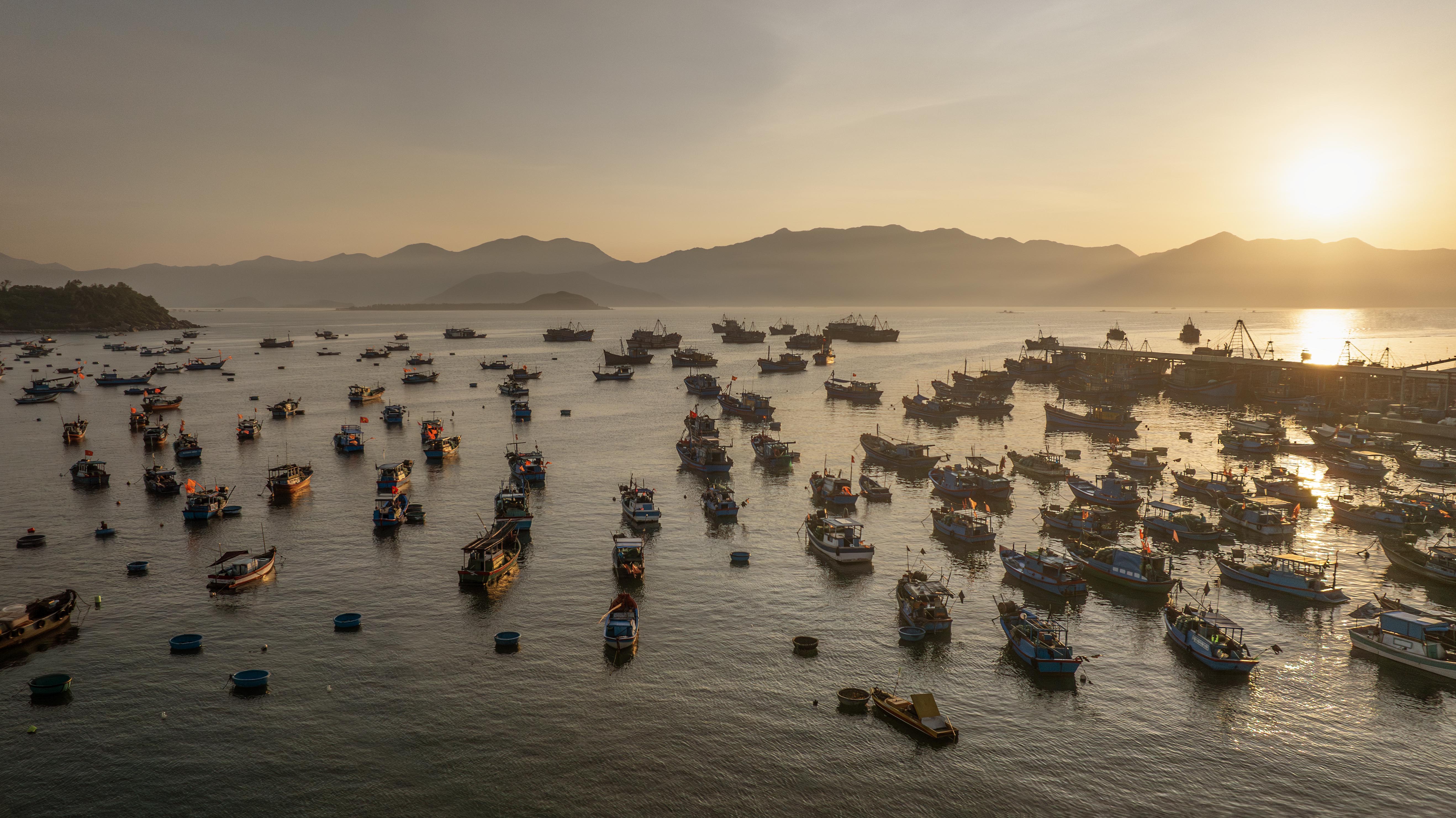 a large group of boats in the water