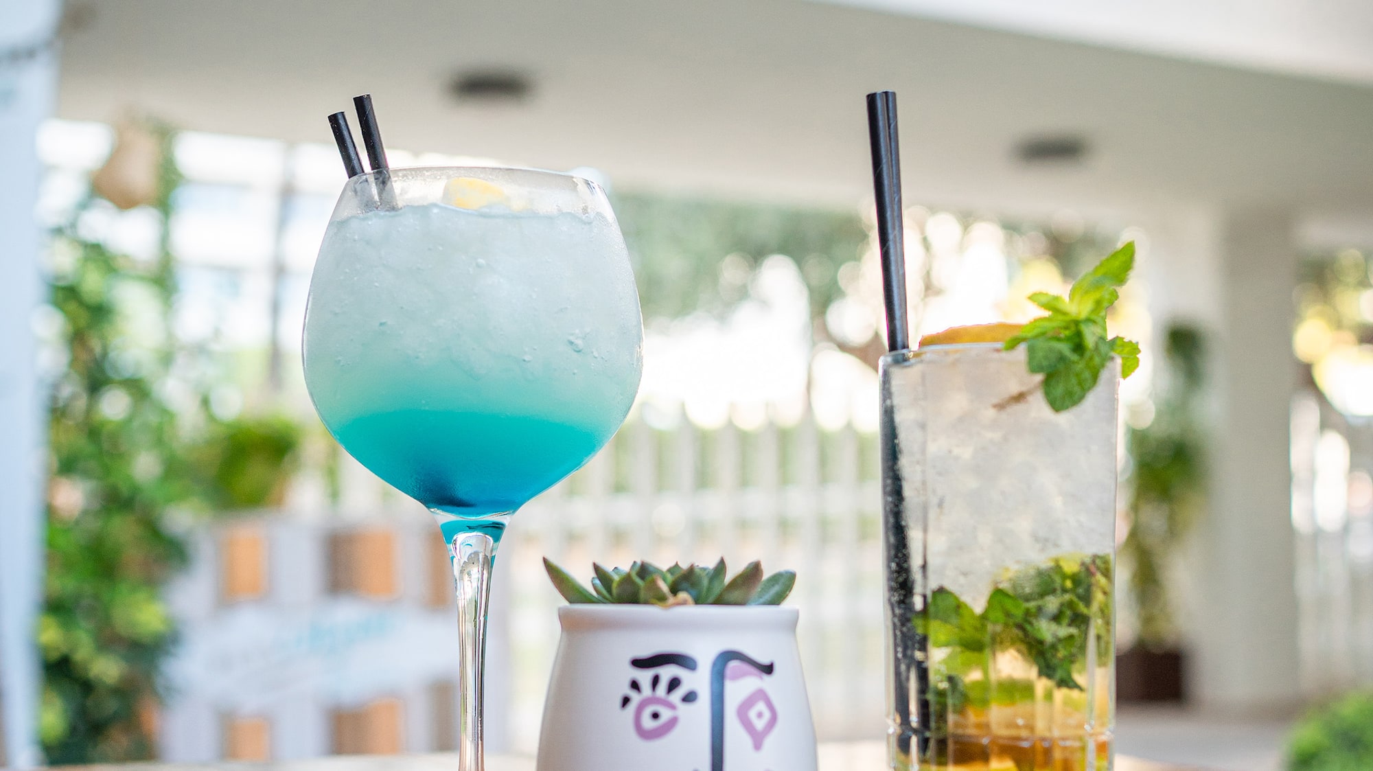 a group of drinks on a table