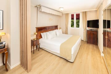 a bedroom with a bed and a tv