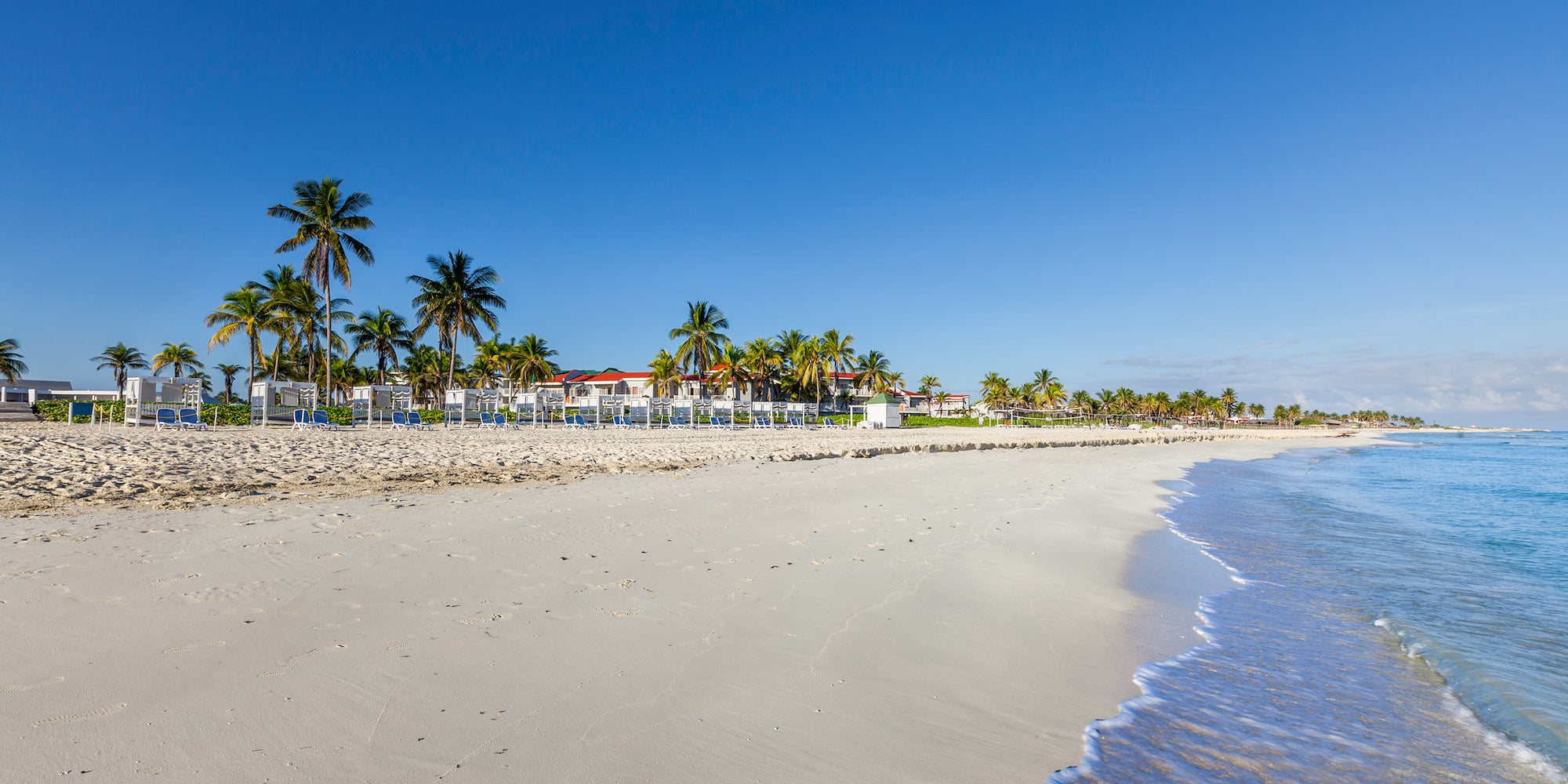 a beach with palm trees and a house