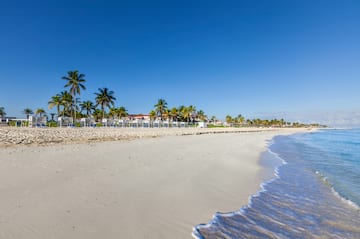 a beach with palm trees and a house