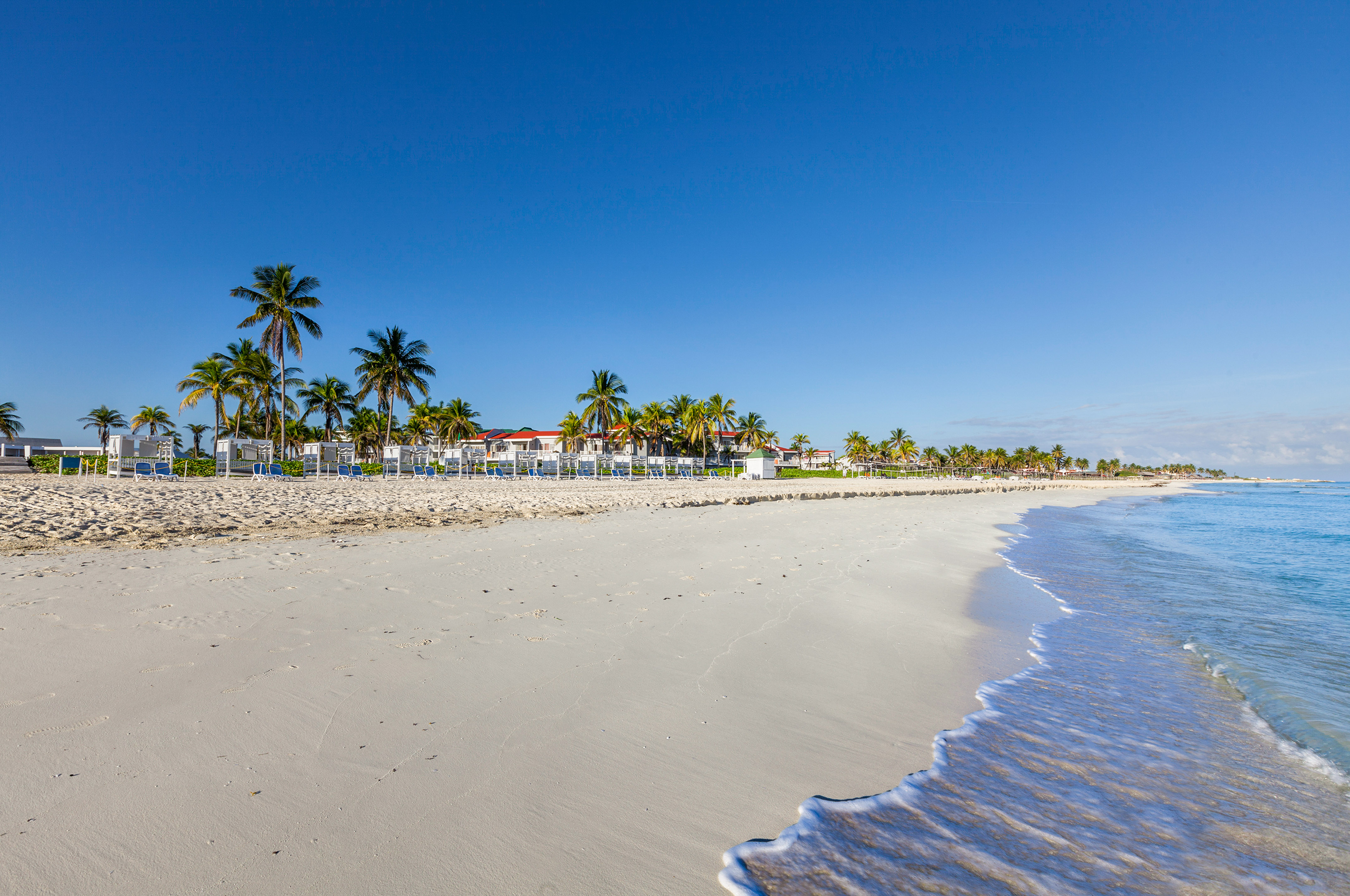 a beach with palm trees and a house