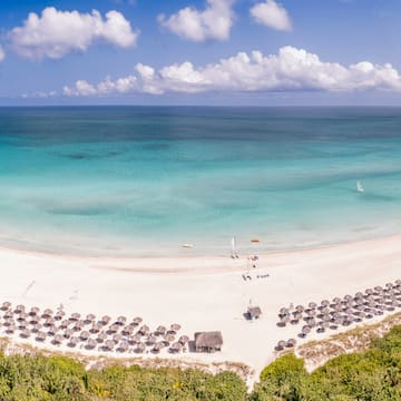 a beach with umbrellas and a body of water